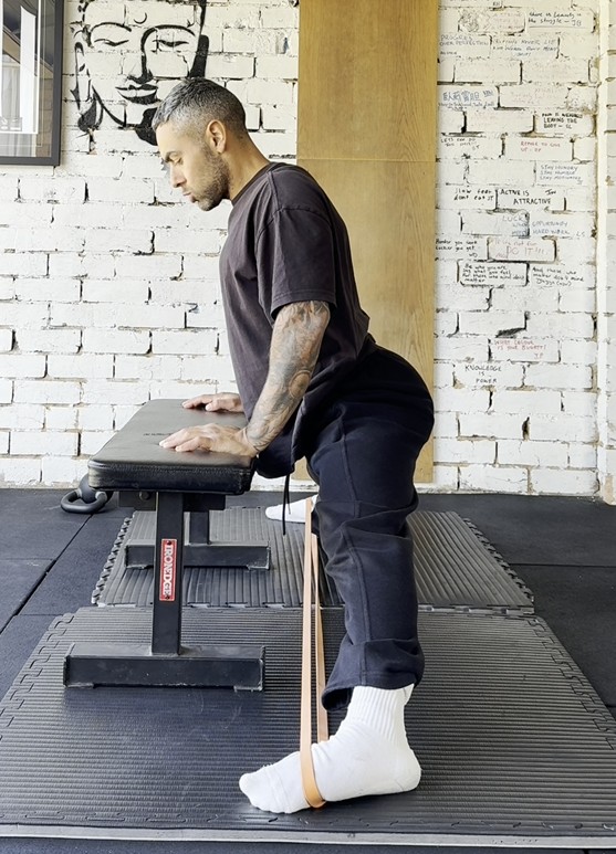 Glutes and Groin Pro