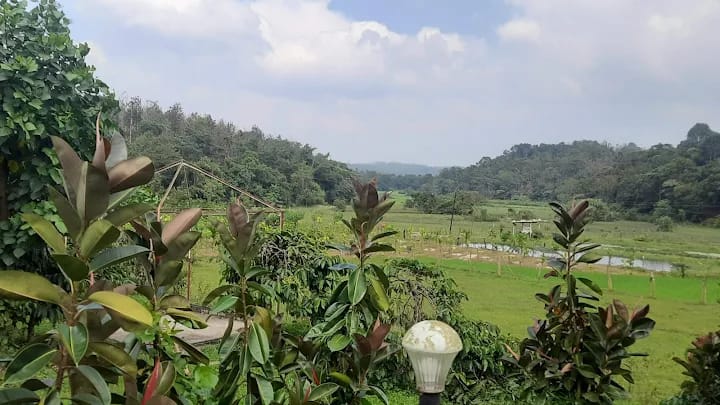 Scenic Plantation View