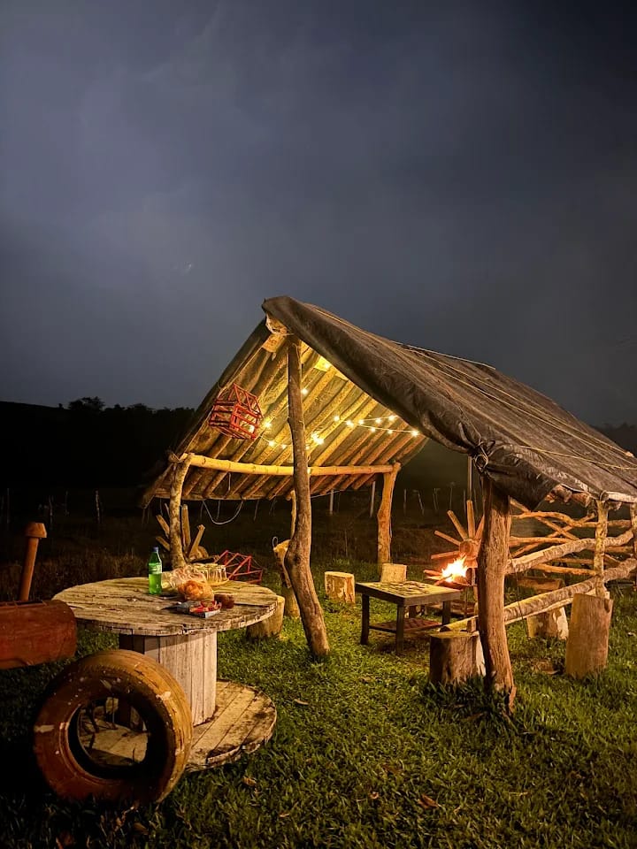 Rustic Campfire Seating