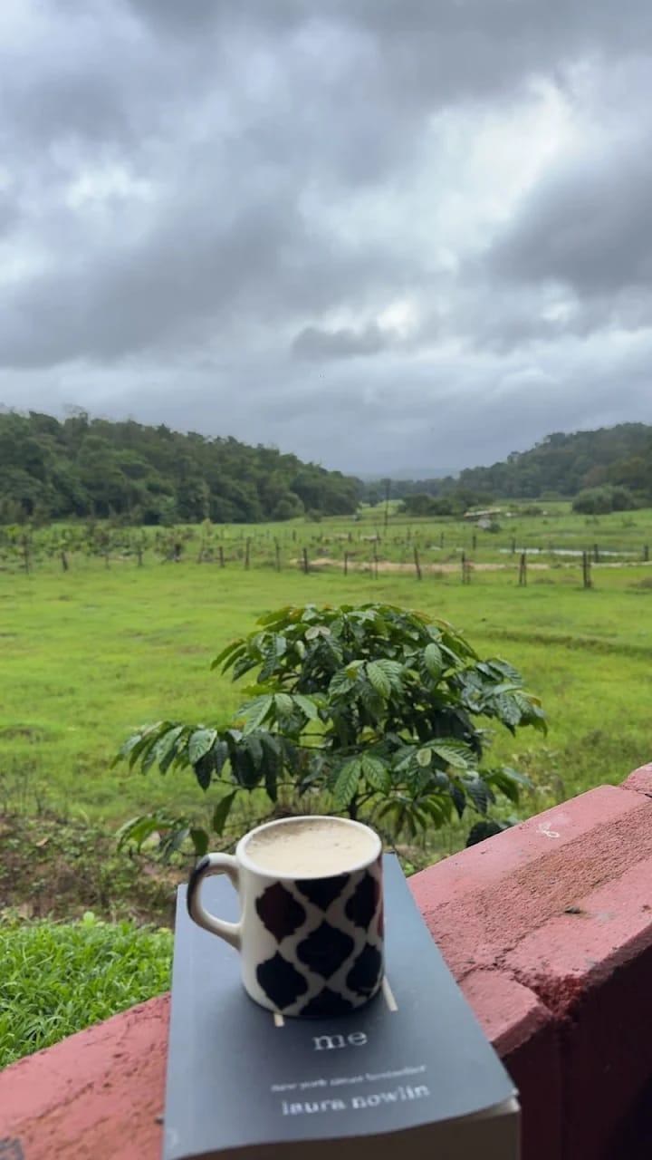 Coffee Estate View