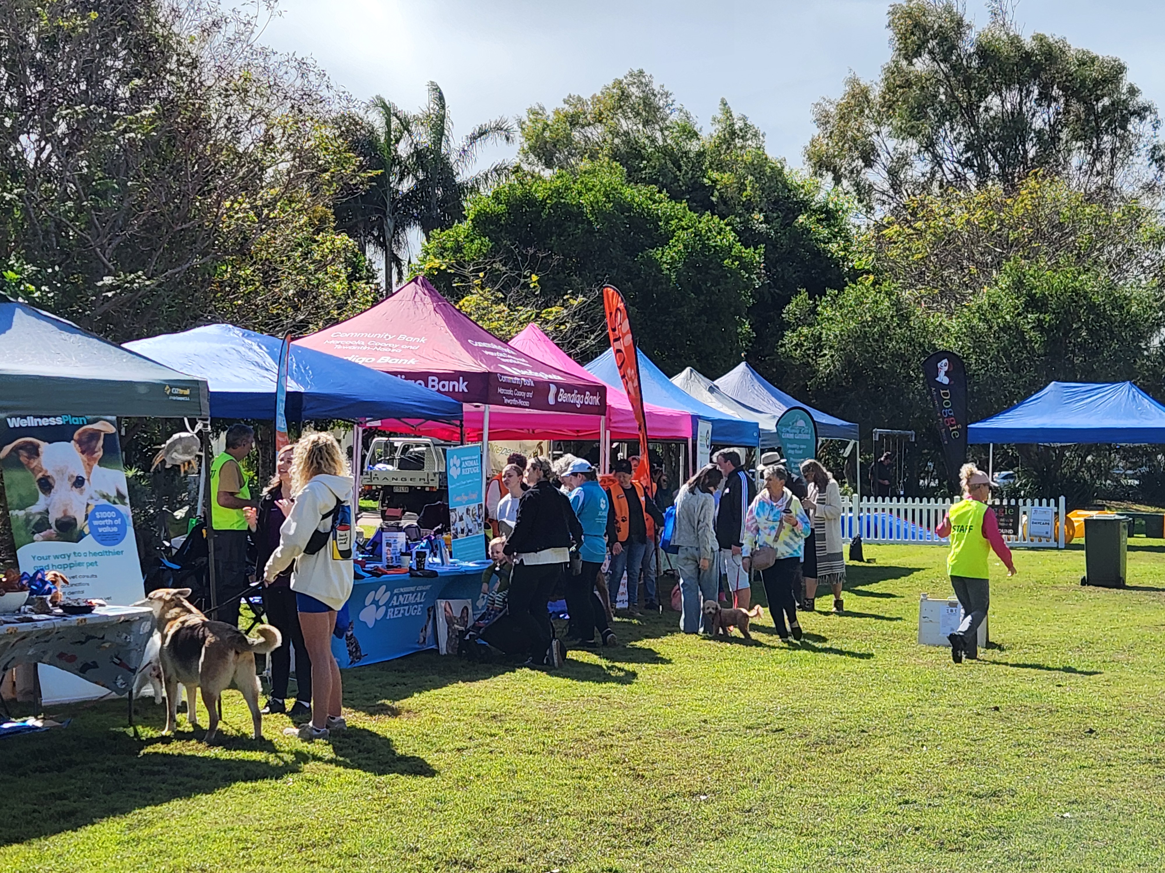 Vendor village at Paws in the Park