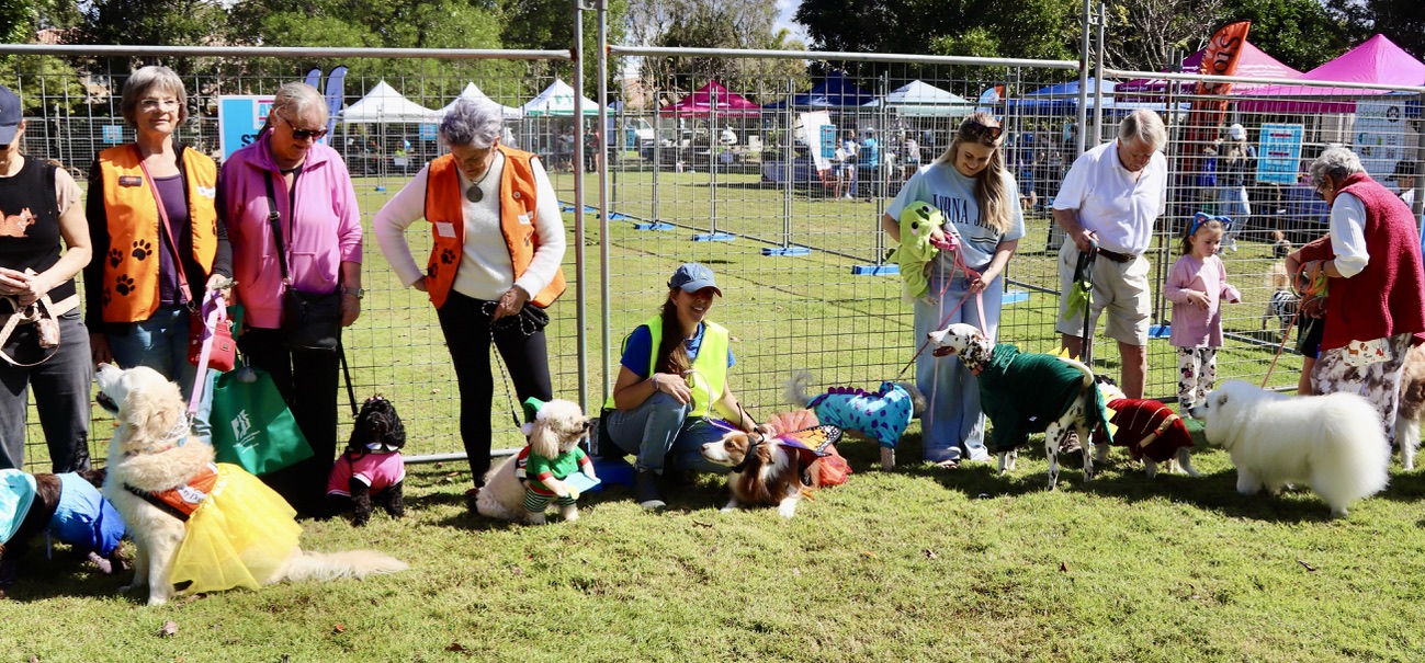 Costume Parade lineup — proud handlers and pups in full regalia