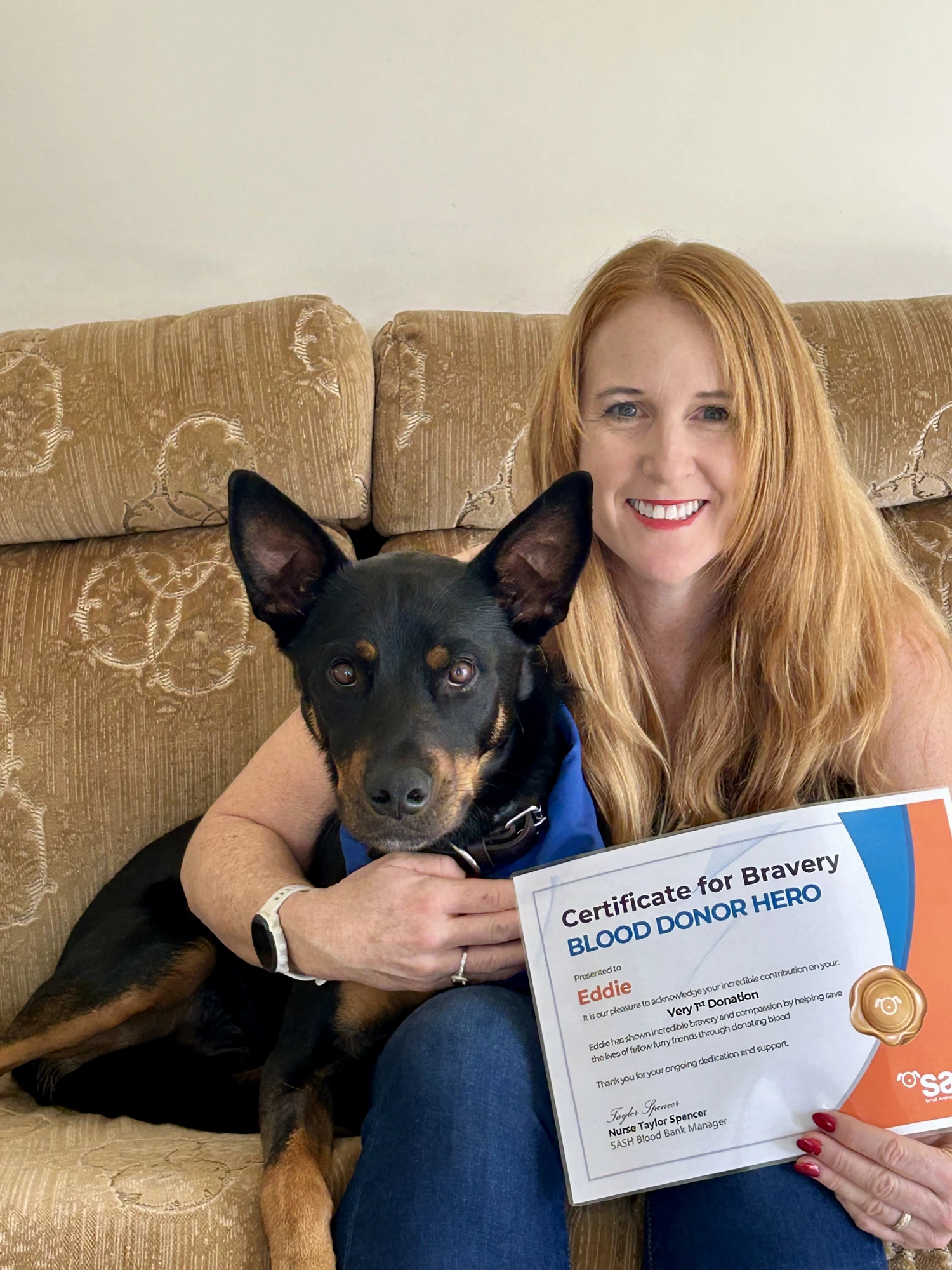 Eddie the Cattle × Rottweiler with owner Naomi holding his Certificate for Bravery — Blood Donor Hero from SASH
