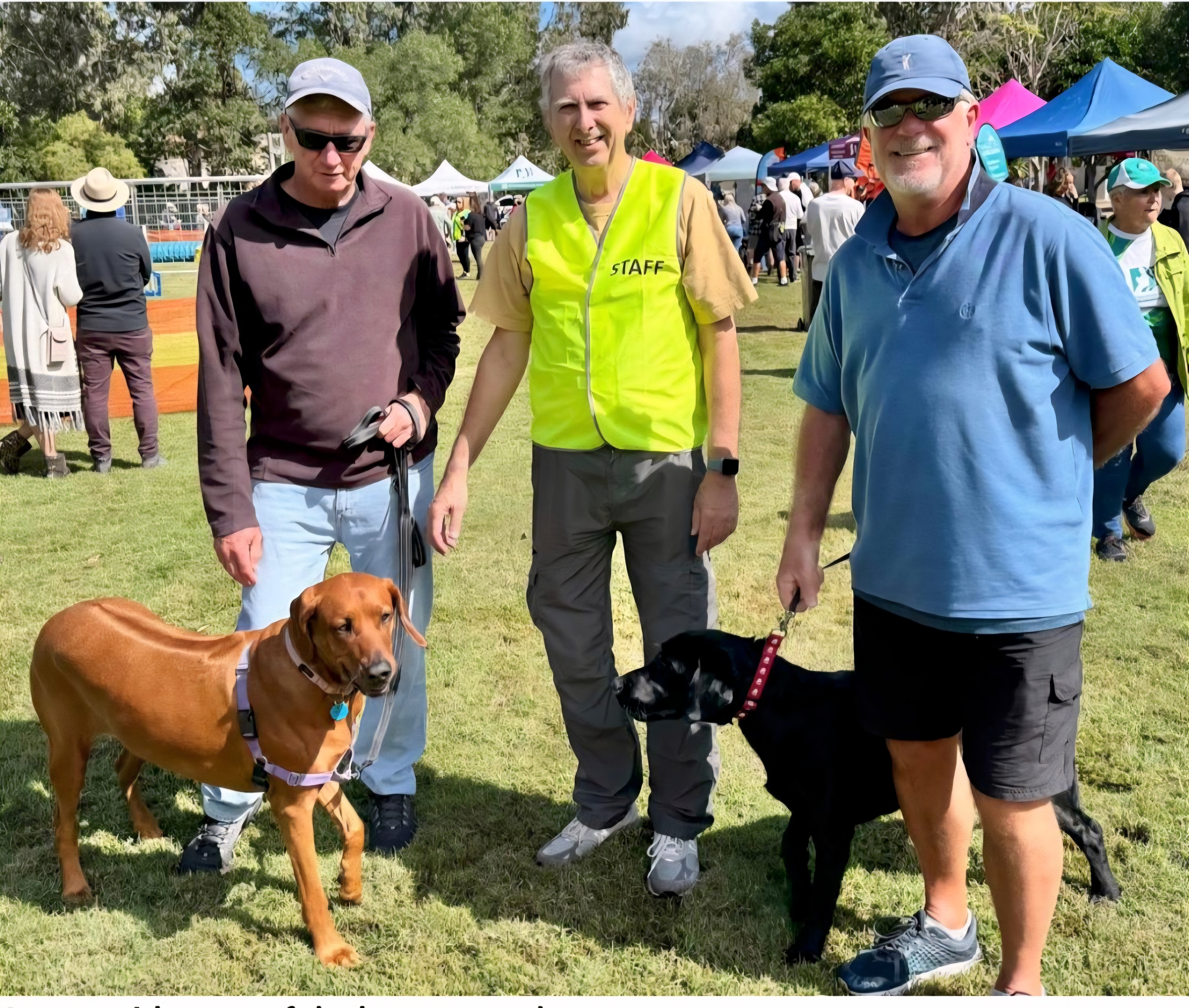 The Paws in the Park Committee with their canine companions