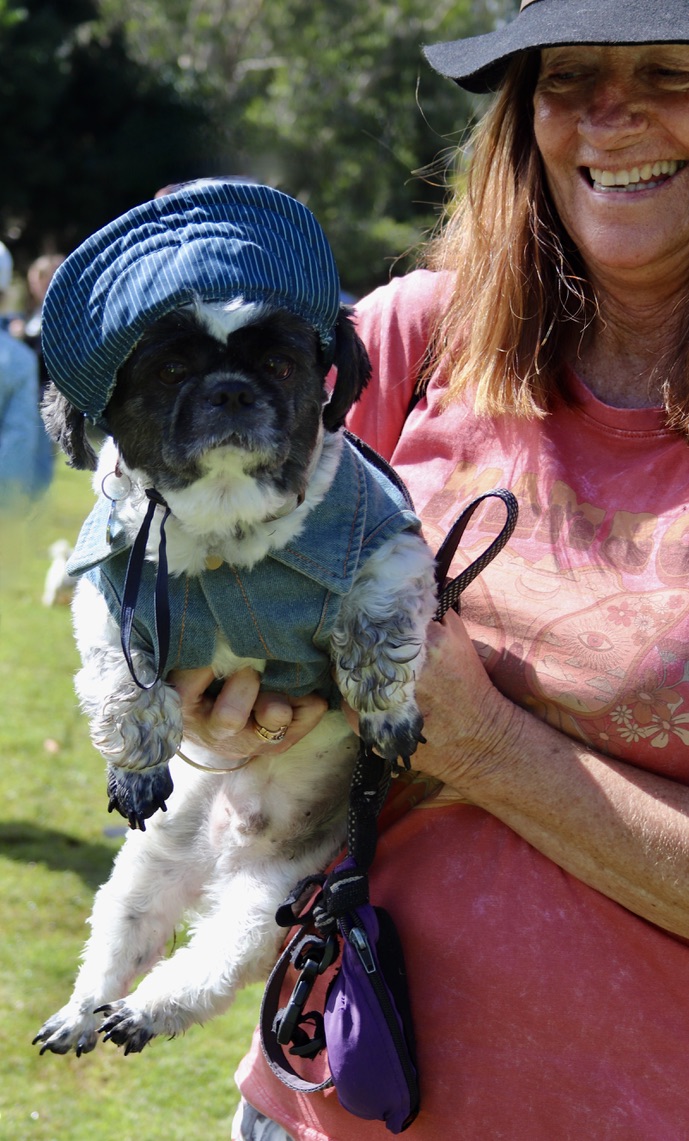 Small dog in denim jacket and cap held by smiling owner
