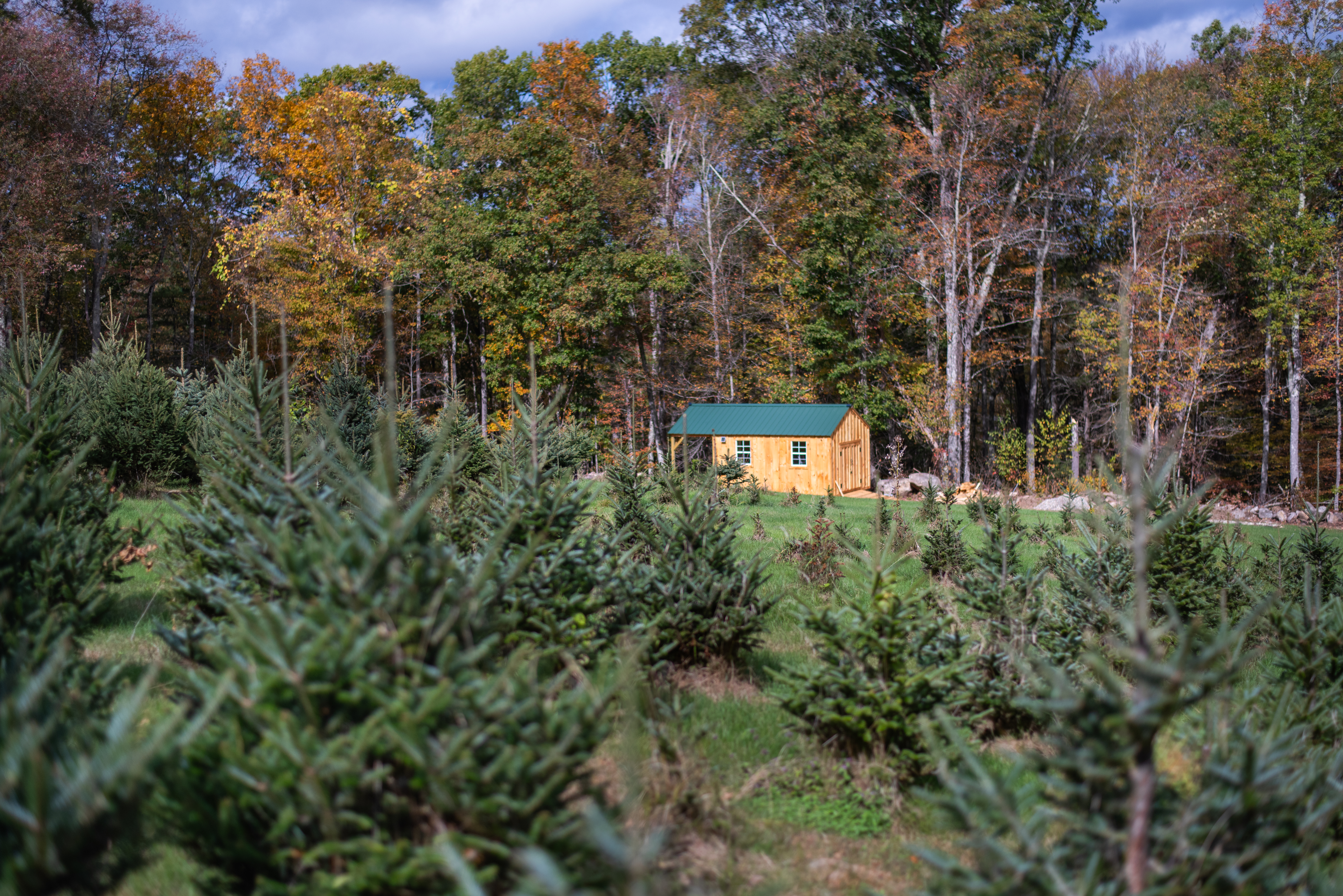 Rustic cabin on the farm