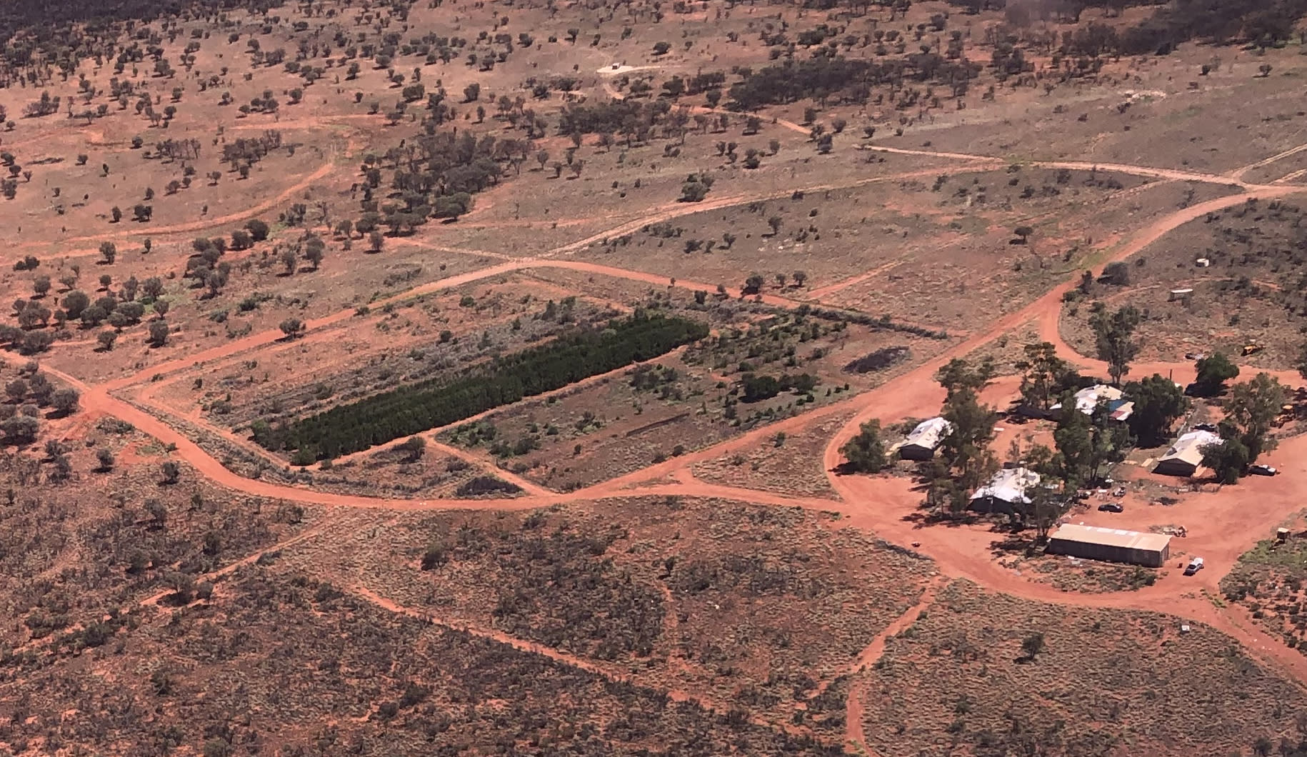 Aerial of an established orchard on red-earth Country, set against the wider arid landscape and homestead