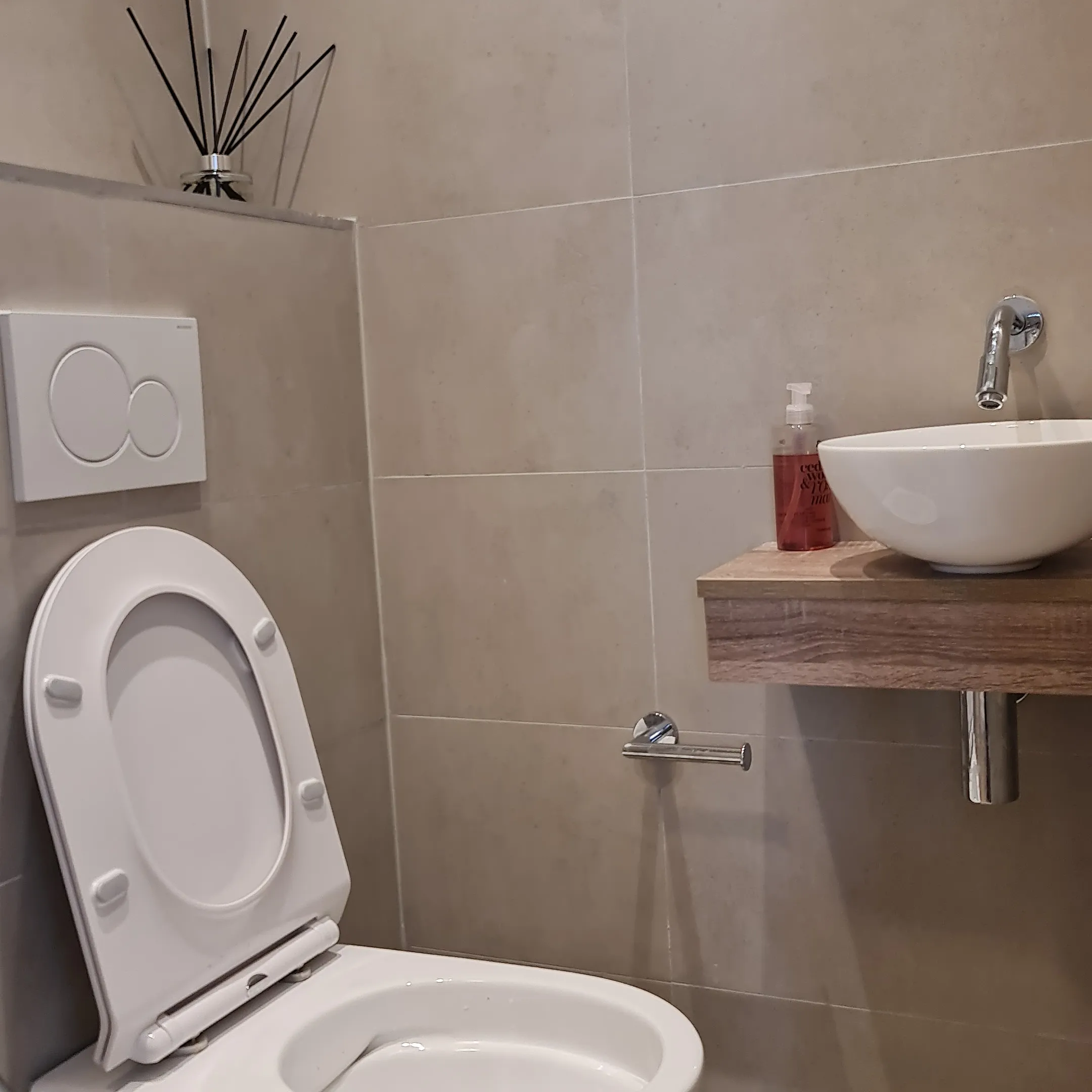 Toilet Renovation