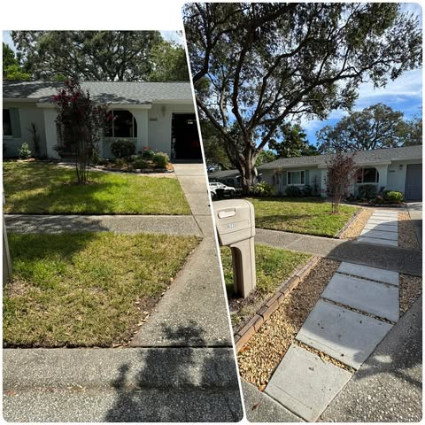 Lawn restoration with stepping-stone walkway — before & after