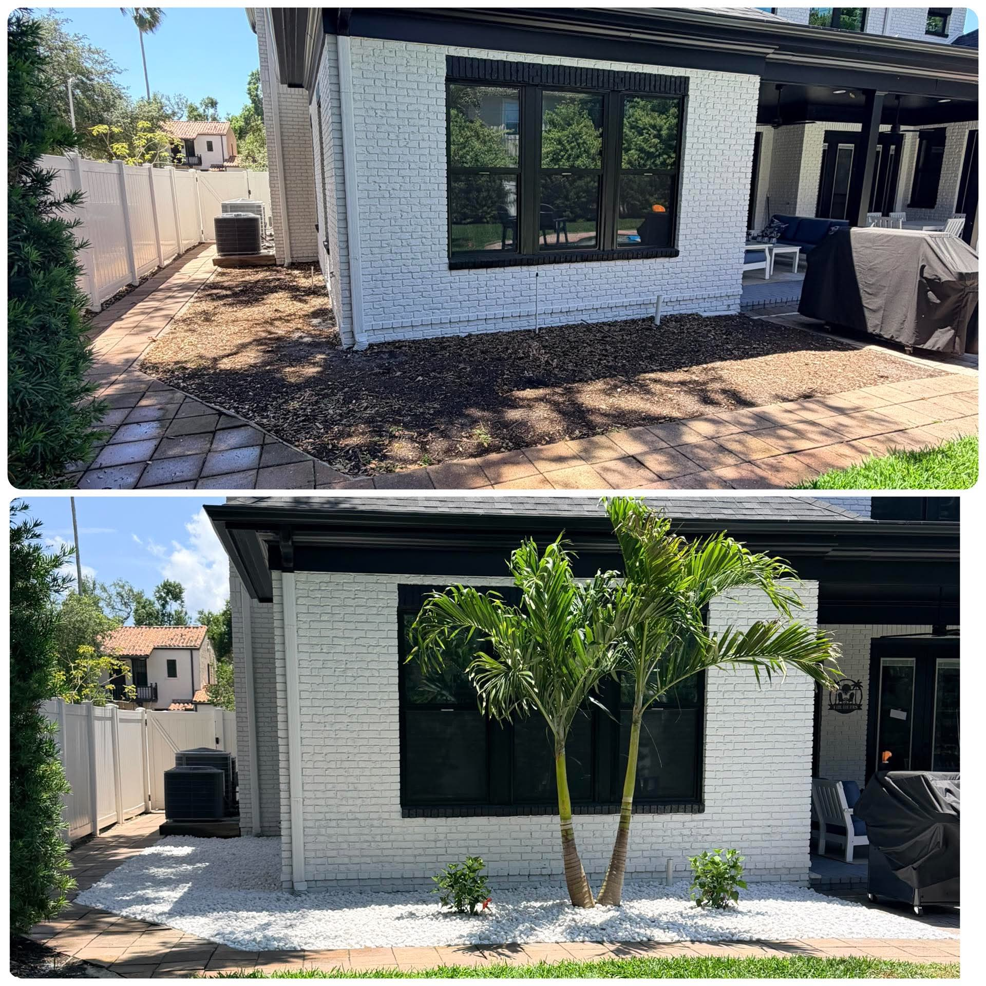 Side-yard mulch tear-out & palm + white-rock garden