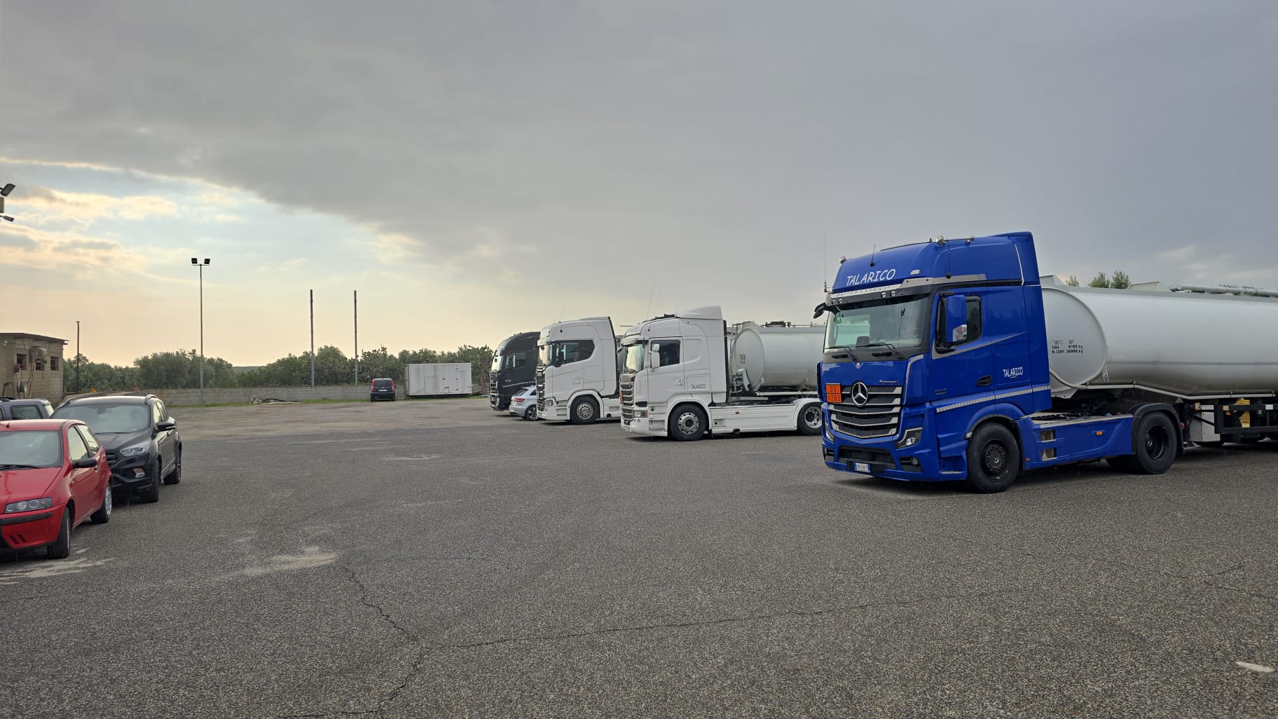 Mezzo Talarico Trasporti 8