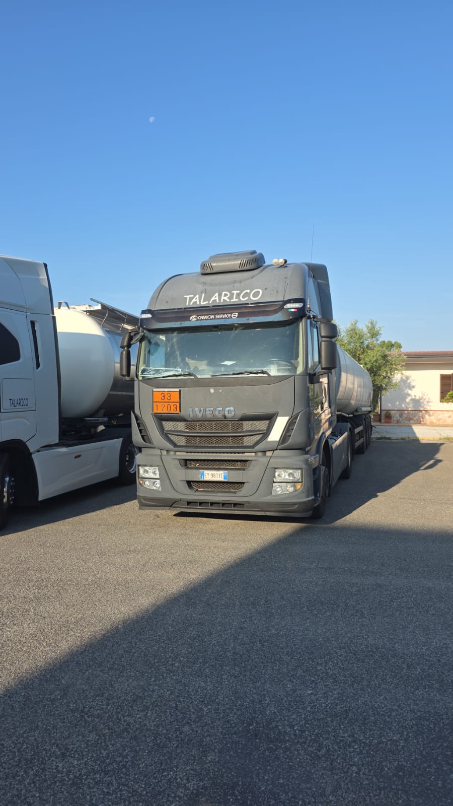 Mezzo Talarico Trasporti 9