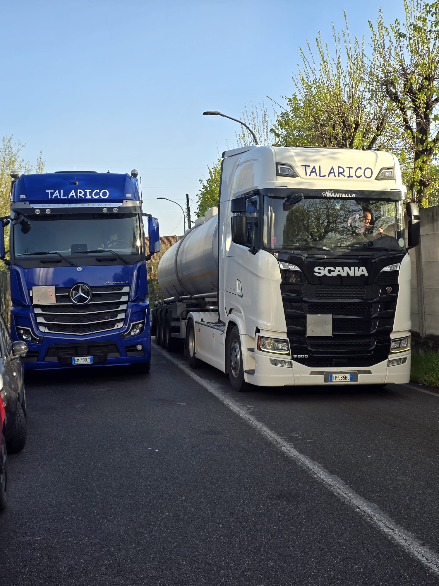 Mezzo Talarico Trasporti 13