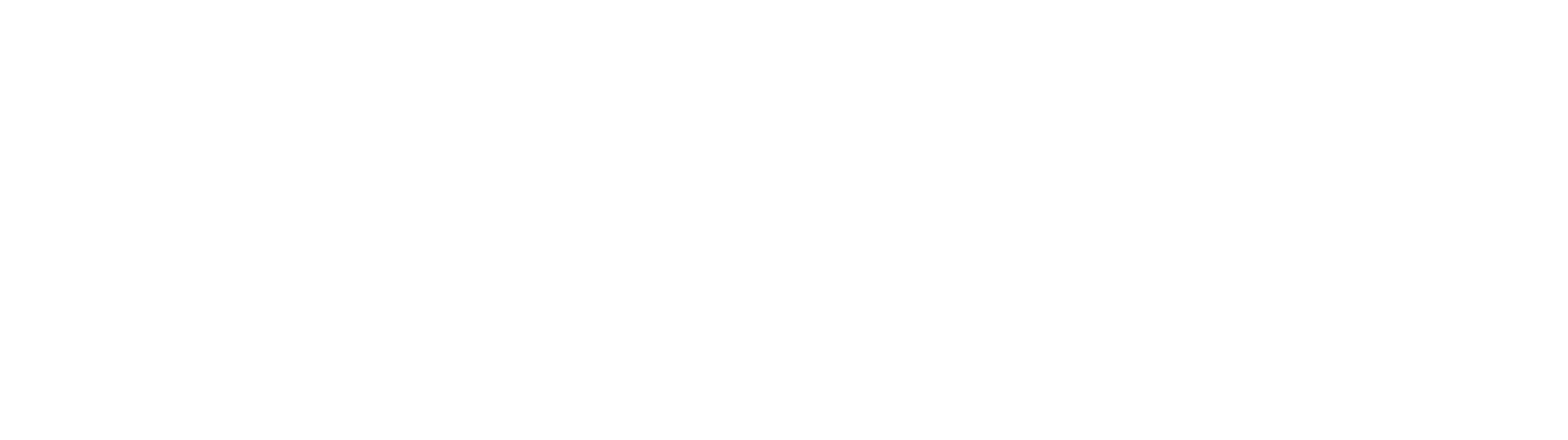 CodeSwitch Agency