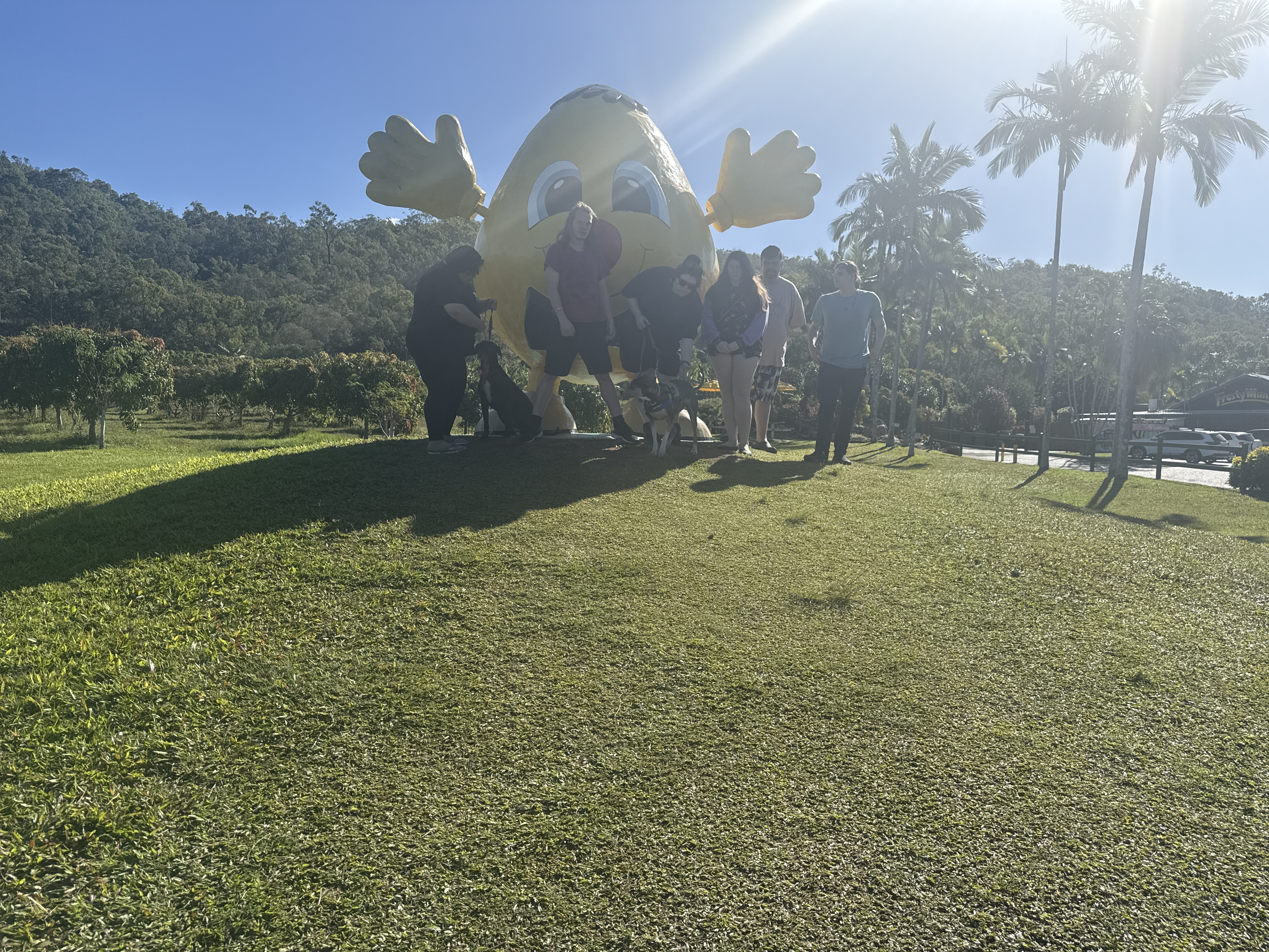Community Outing Adventures Around Townsville