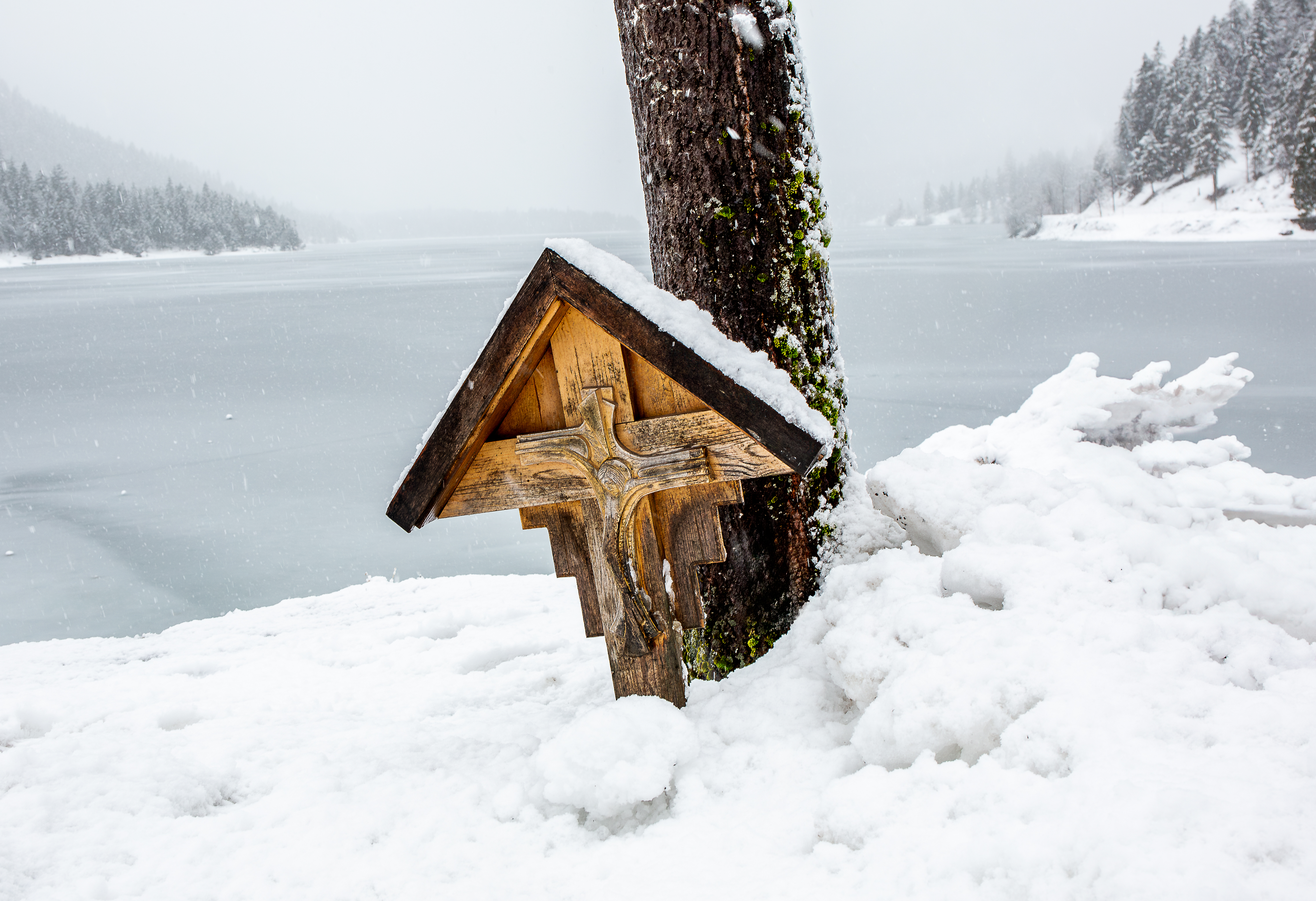 Winter's Refuge