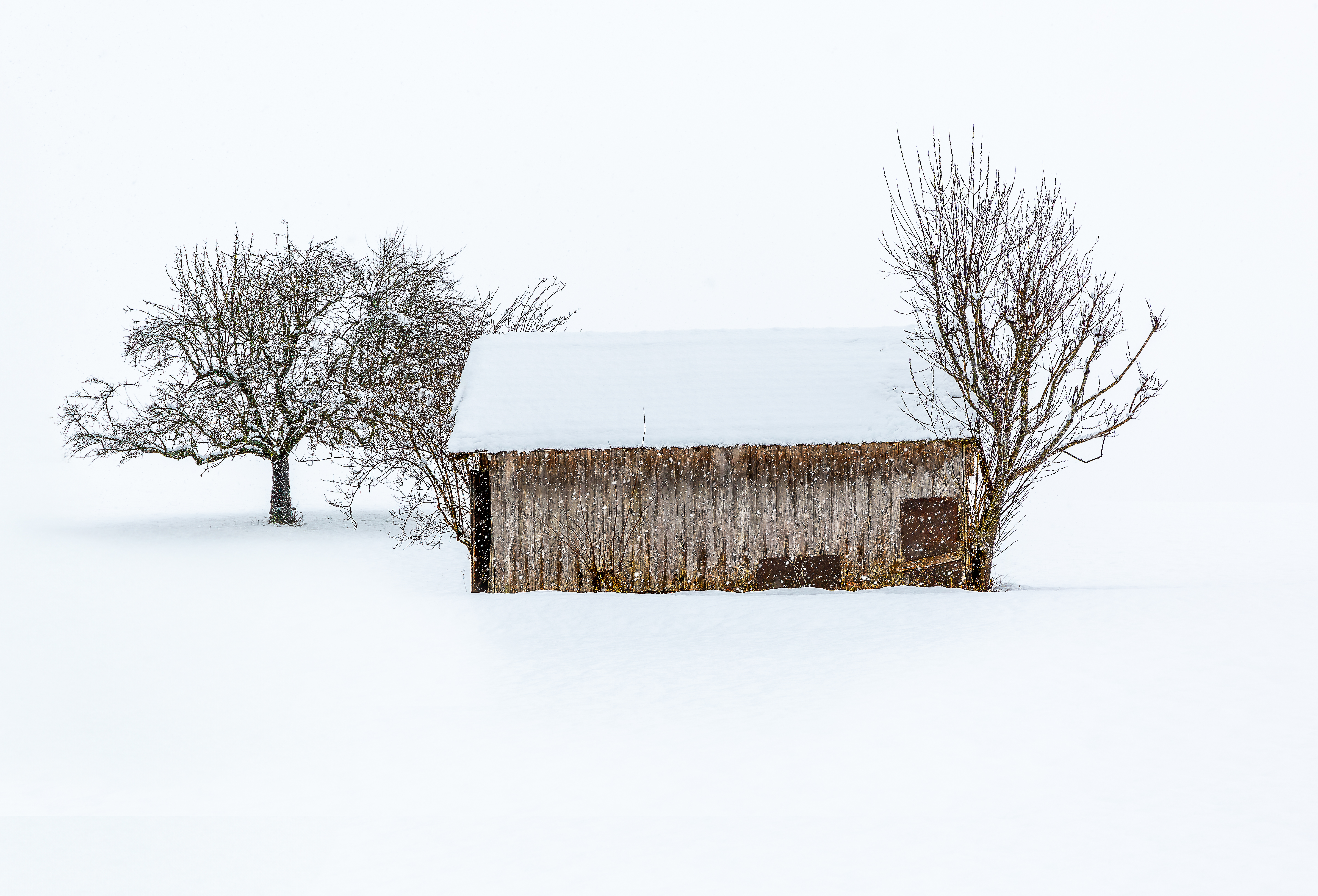 Winter Serenity by Dr Chris Lee