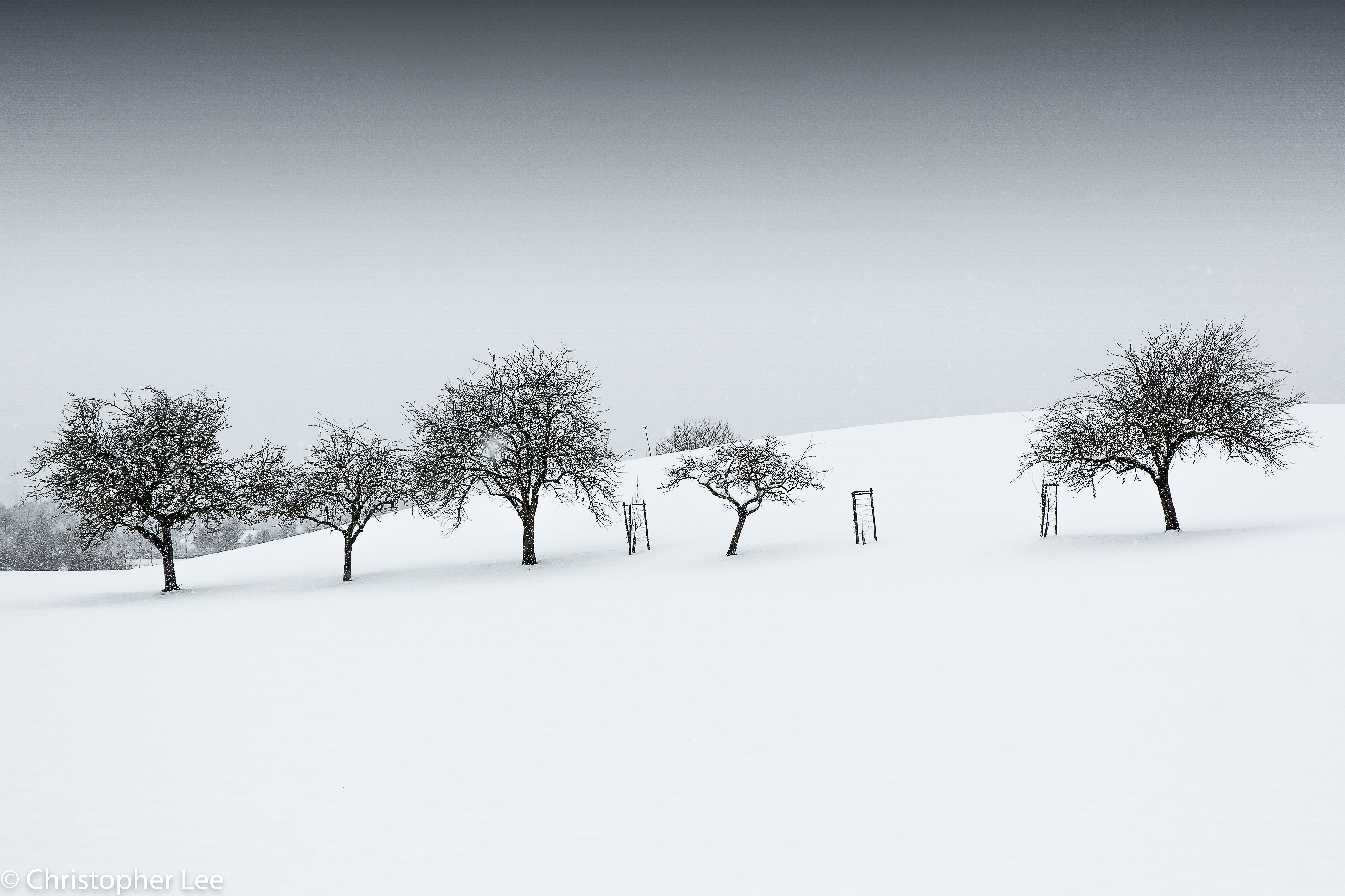 Frozen Homestead