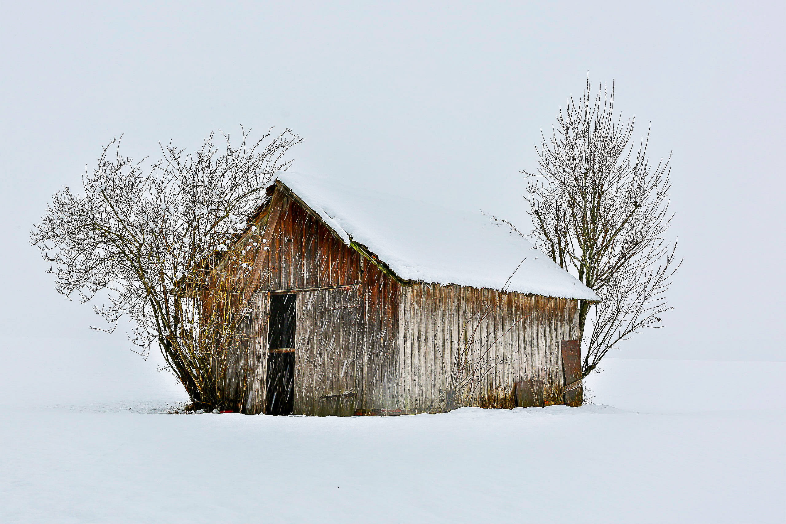 Seasonal Stillness