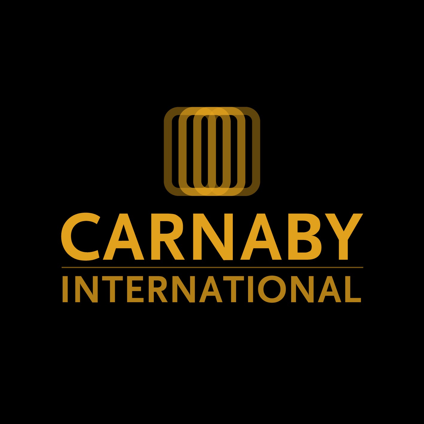 Carnaby International