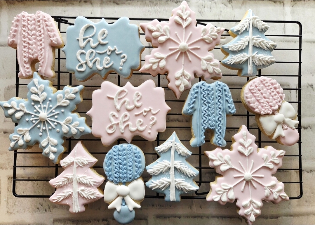 He or She? — Winter Gender Reveal