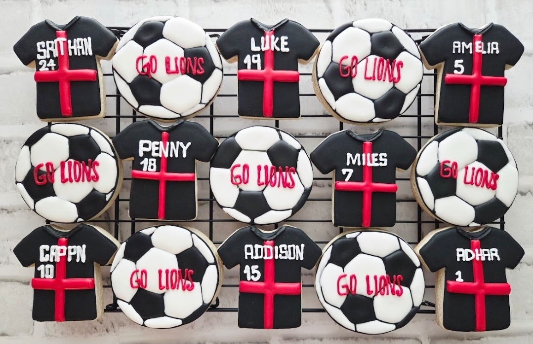 Go Lions Soccer Team
