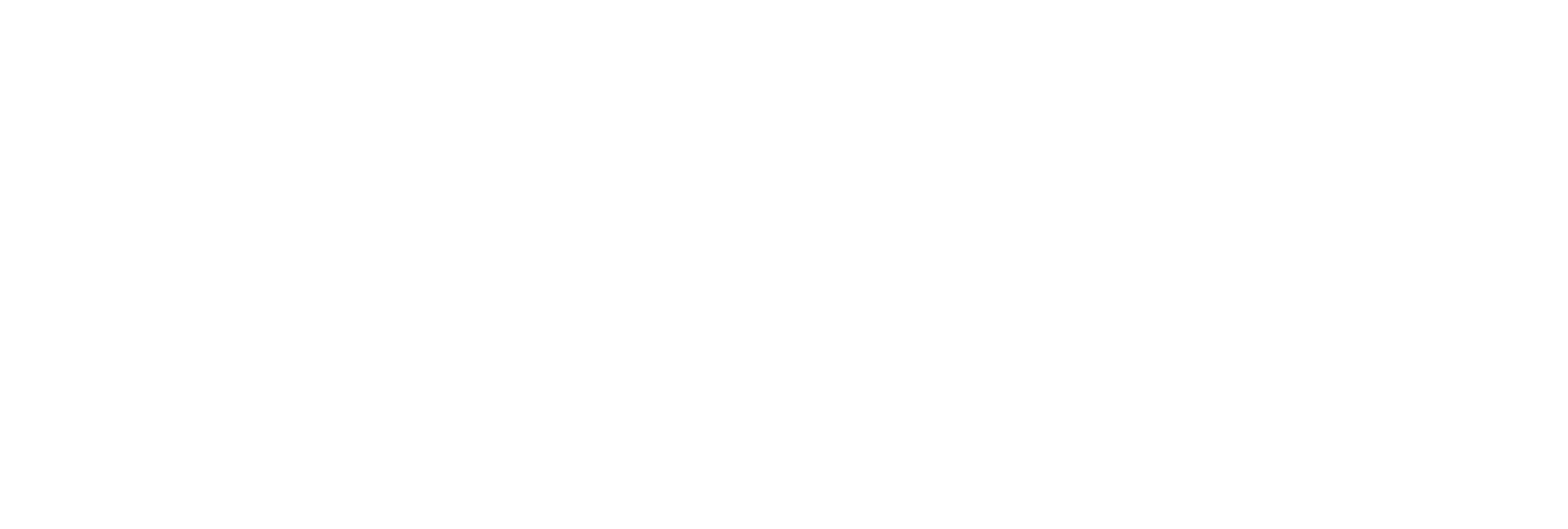The Fleetwood Mac Experience