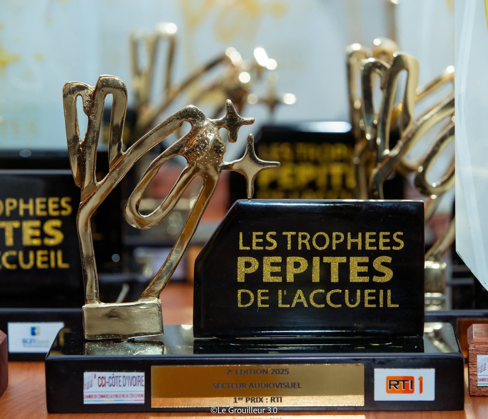 Trophée Pépites de l'Accueil