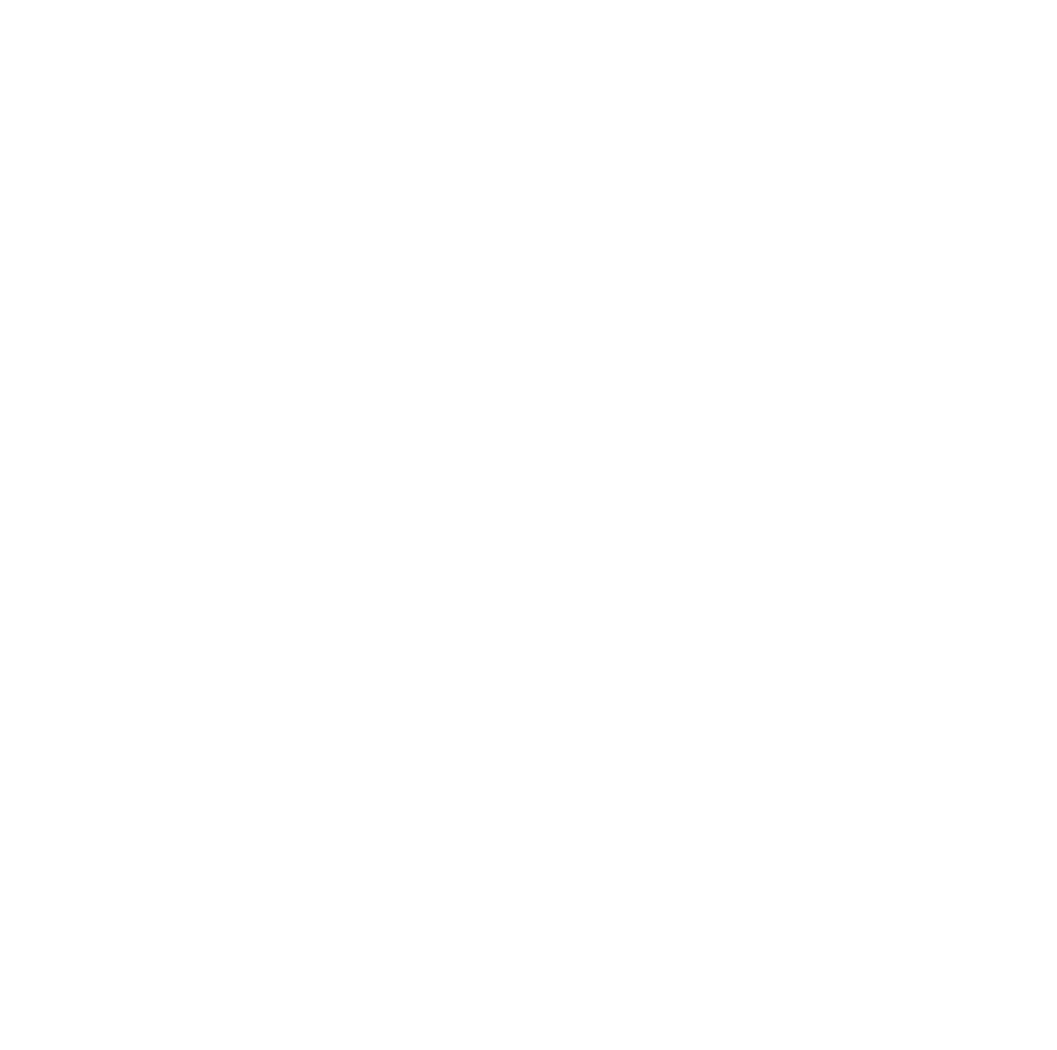 Alchemist