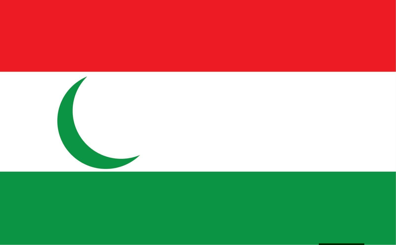 NDP Flag