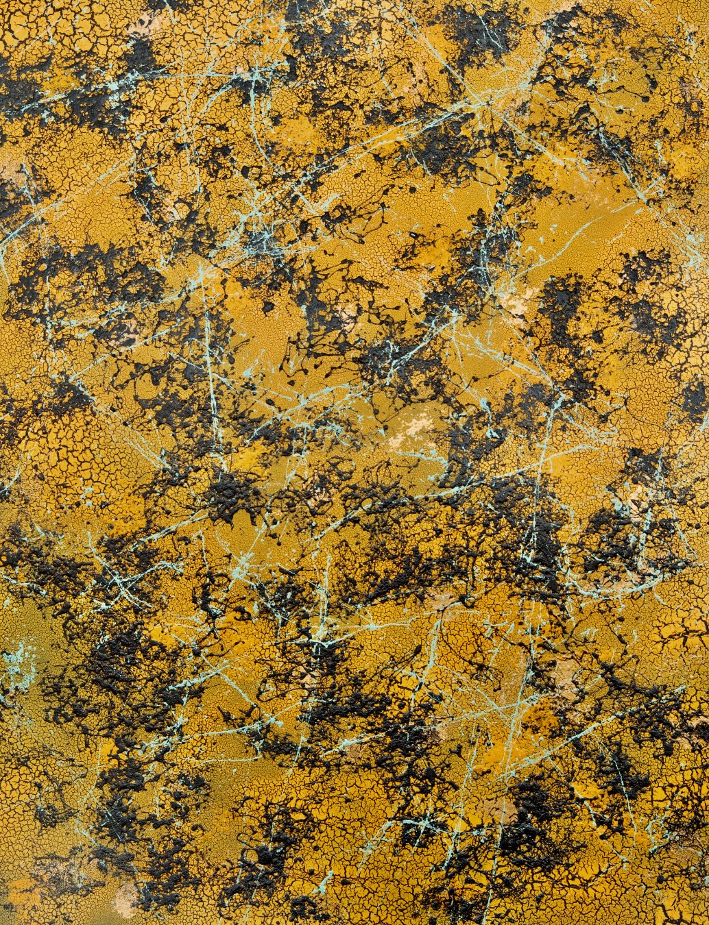 Untitled — 2026 / 03 — cracked saffron-yellow surface laced with black islands and faint teal threads.