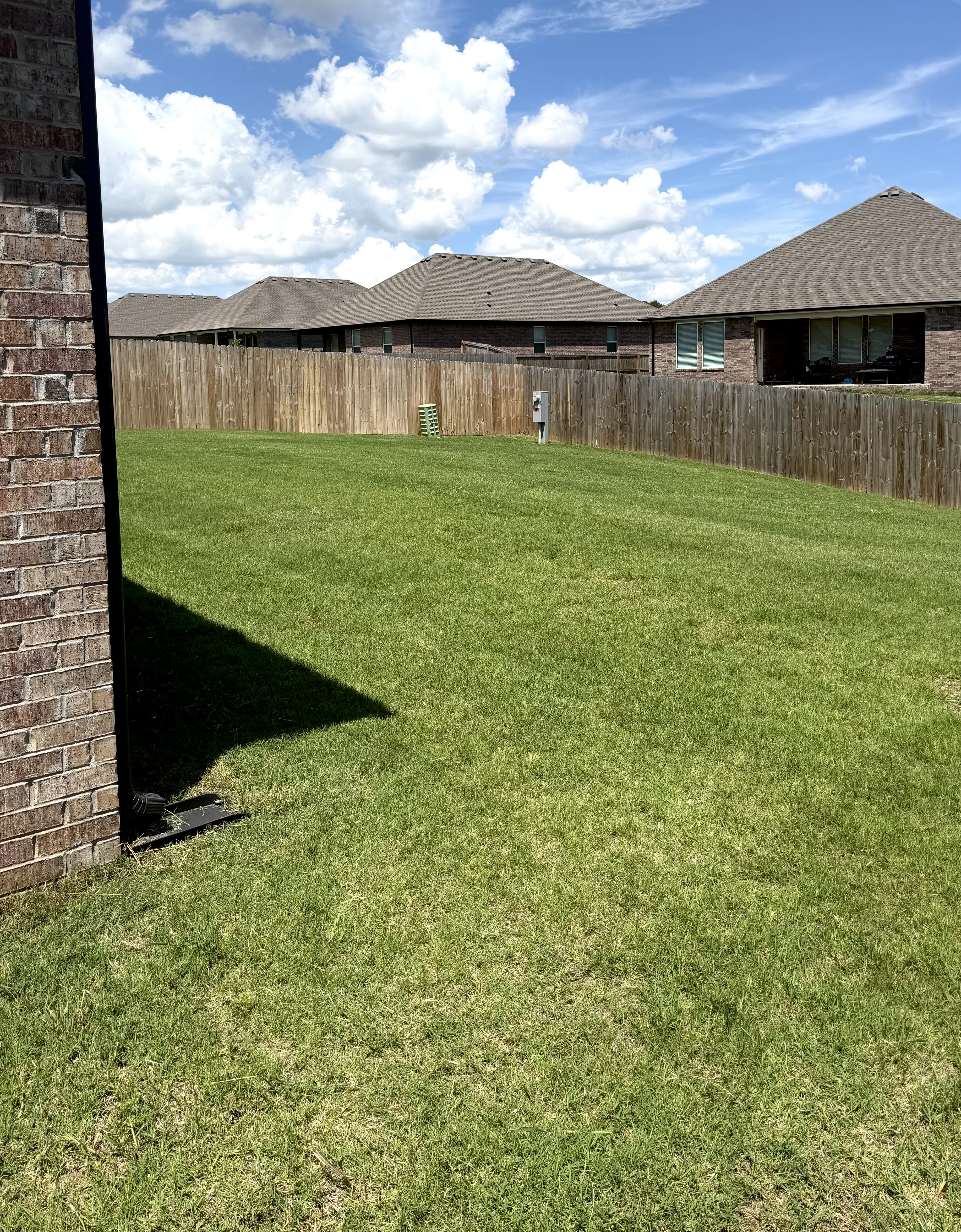 Southern Greens completed lawn