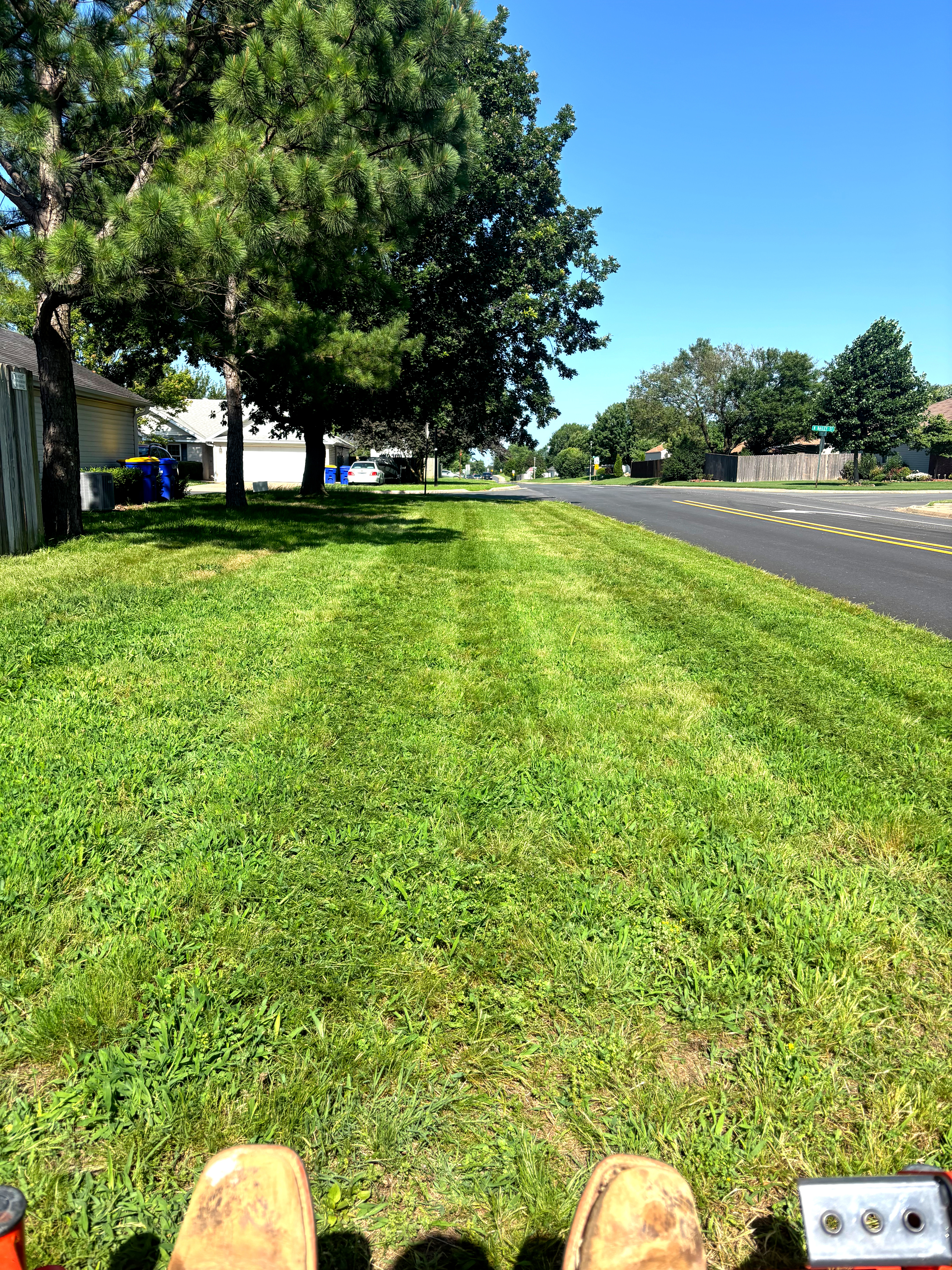 Southern Greens completed lawn