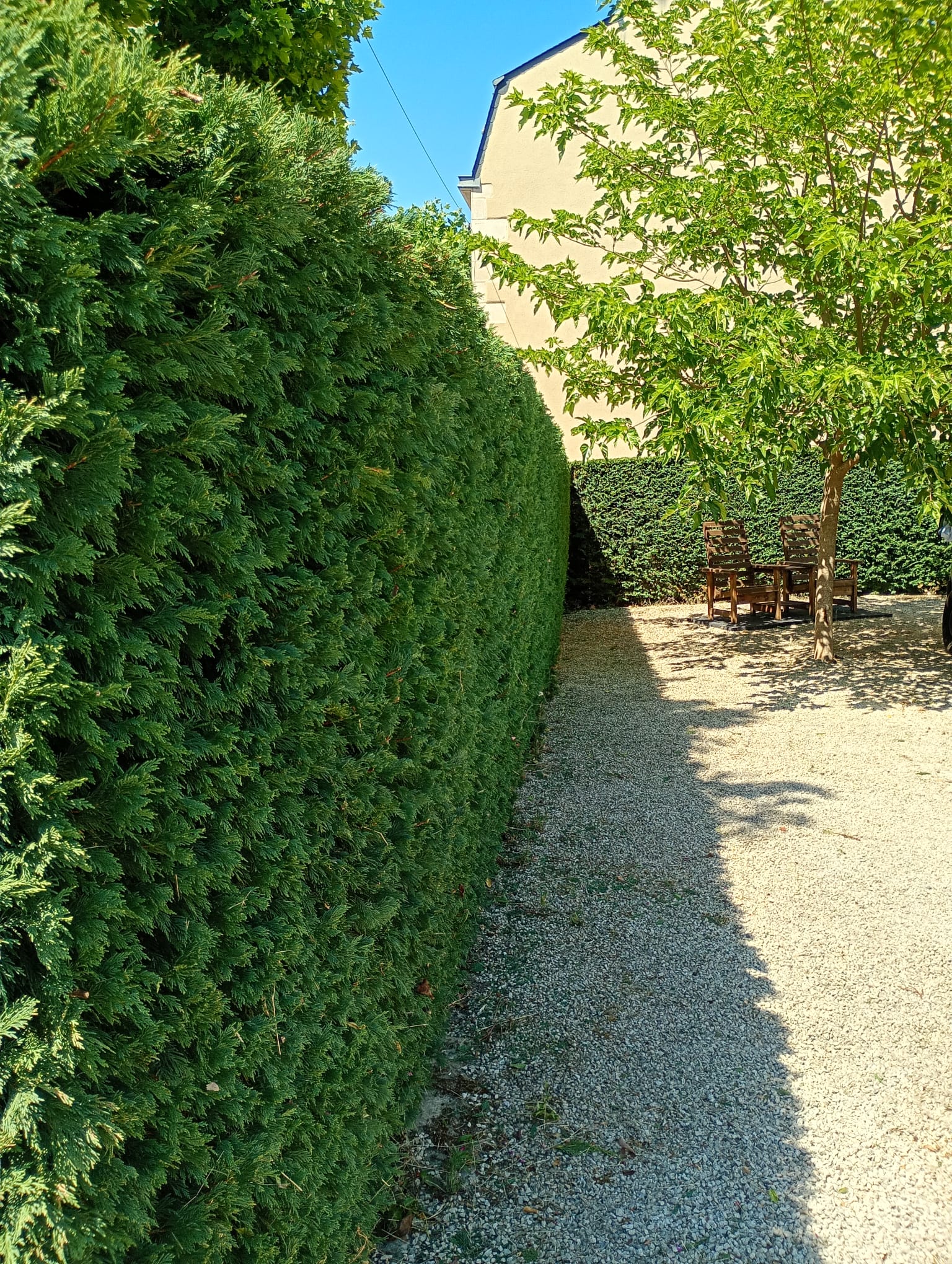 Same garden hedge and path neatly trimmed and tidied by SKgarden
