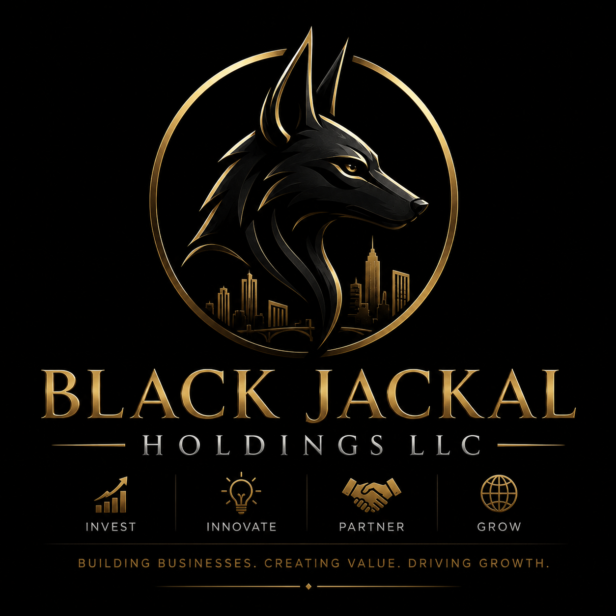 Black Jackal Holdings LLC