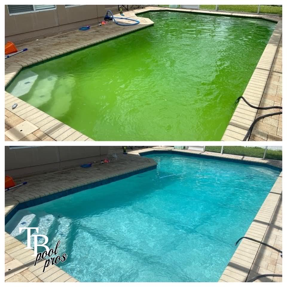 Neglected pool revival