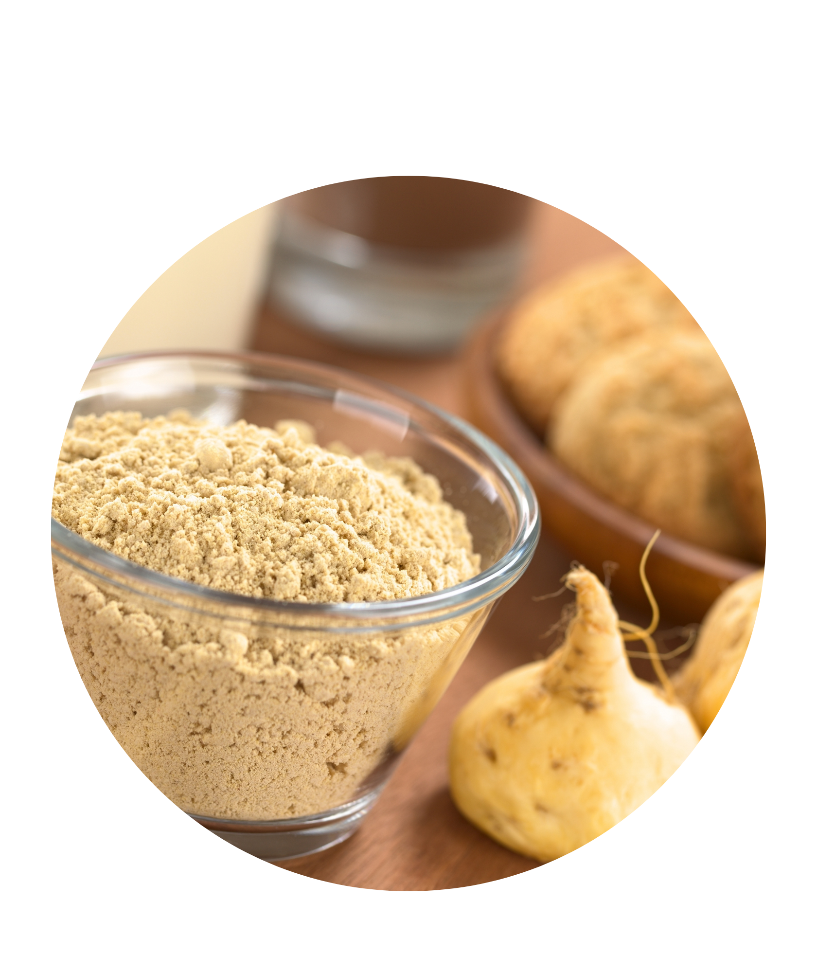 MACA