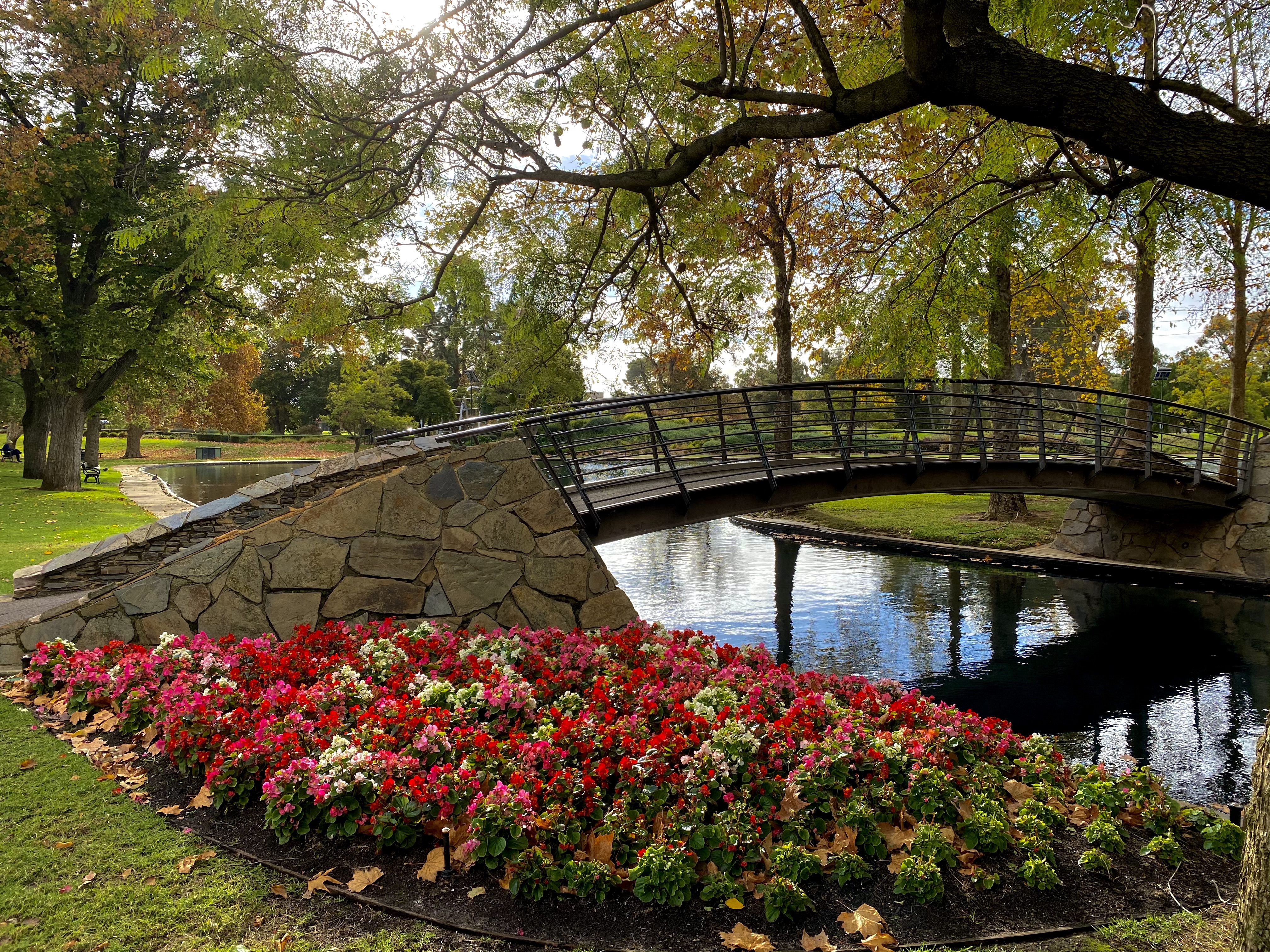 A beautiful park in autumn - perfect parkland for picnics and outdoor activities