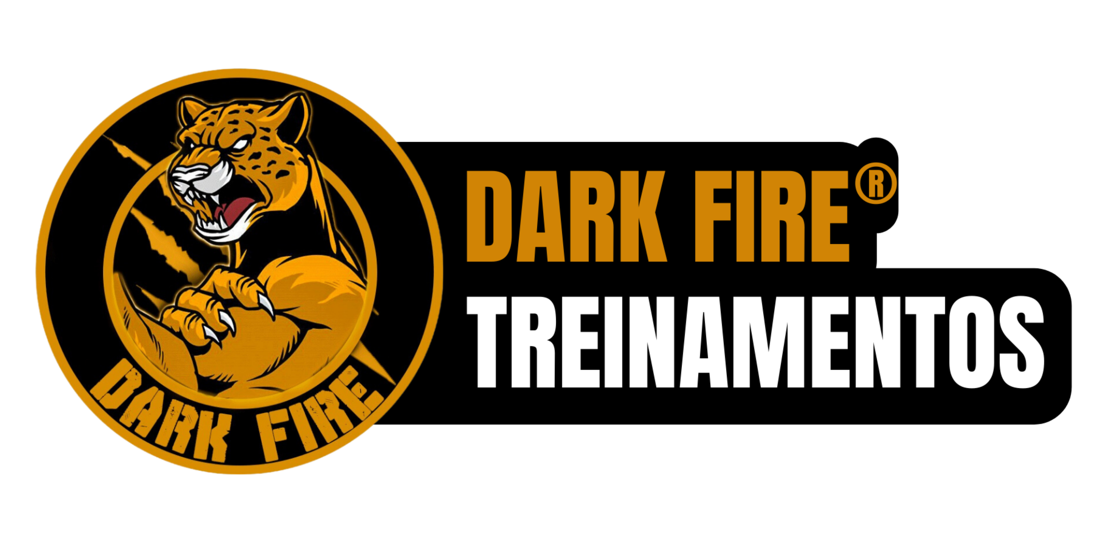 Dark Fire