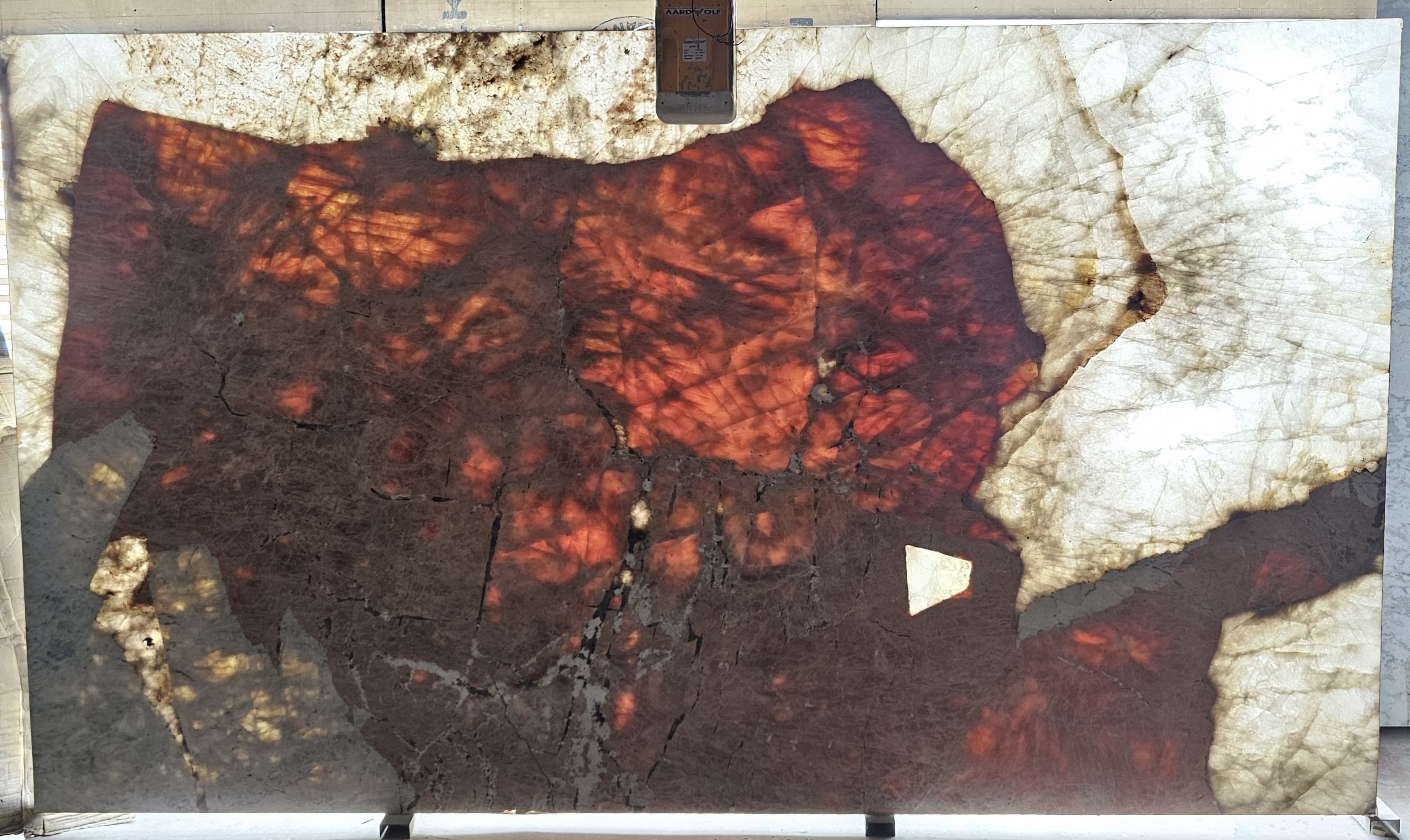 Taj Red Quartzite Backlit