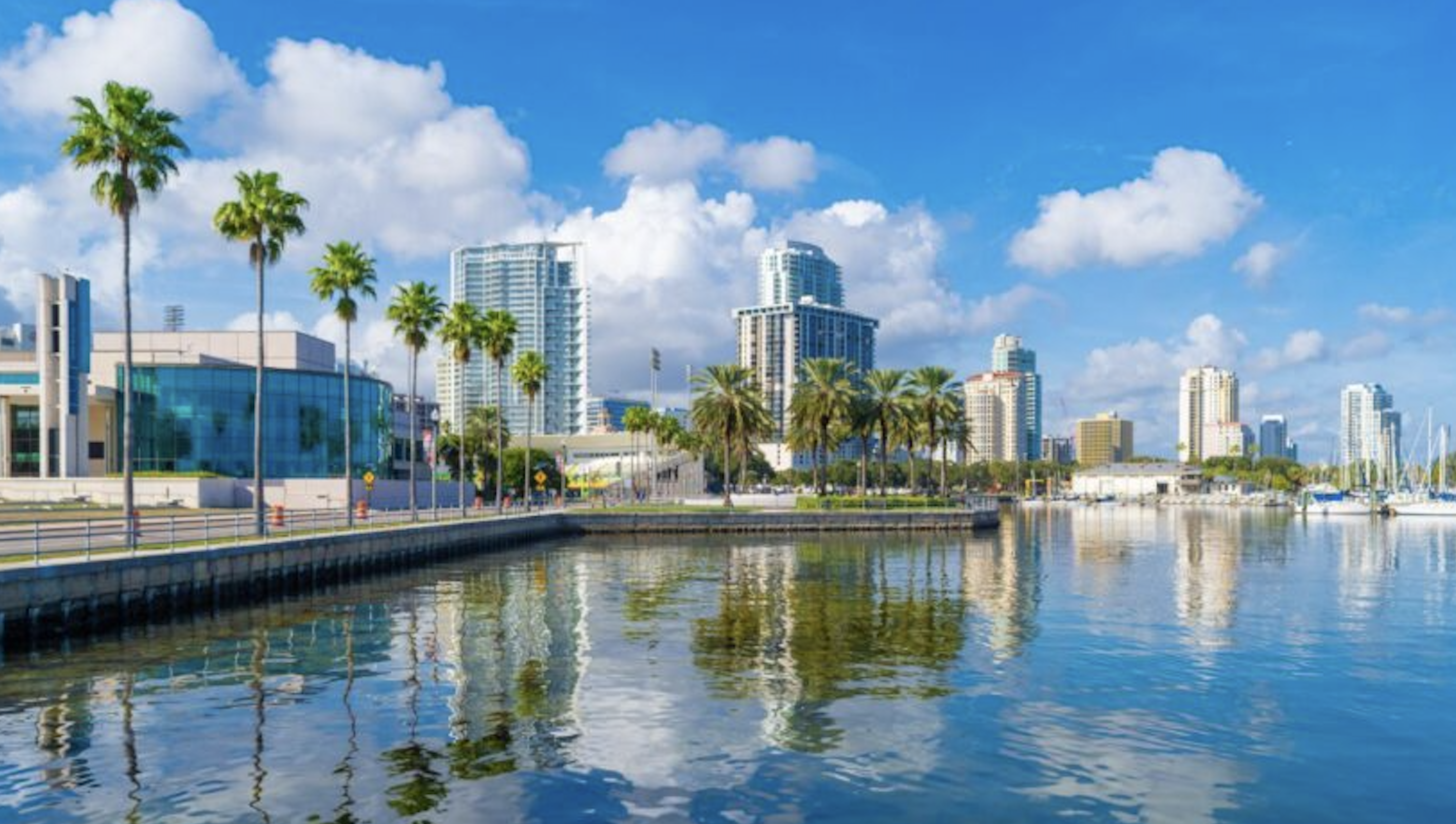 St. Petersburg, FL waterfront skyline with palm trees and downtown high-rises