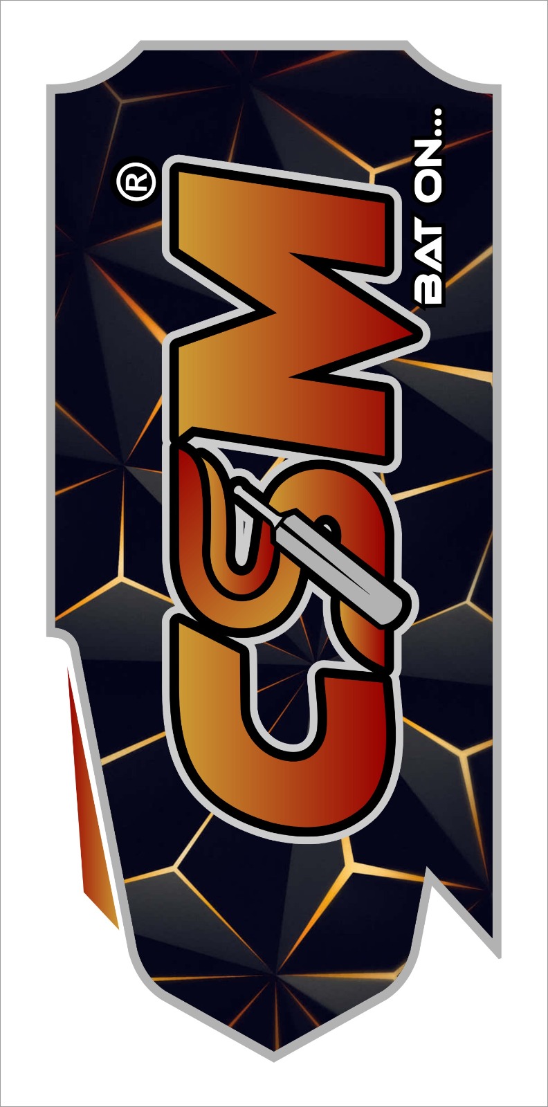 DHANRAJ SPORTS | Premium Cricket Bat Stickers