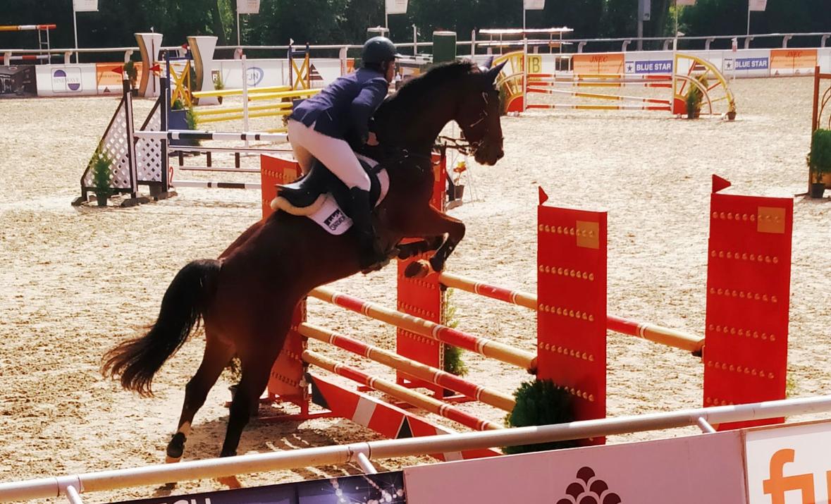 Show Jumping — Mid-Air