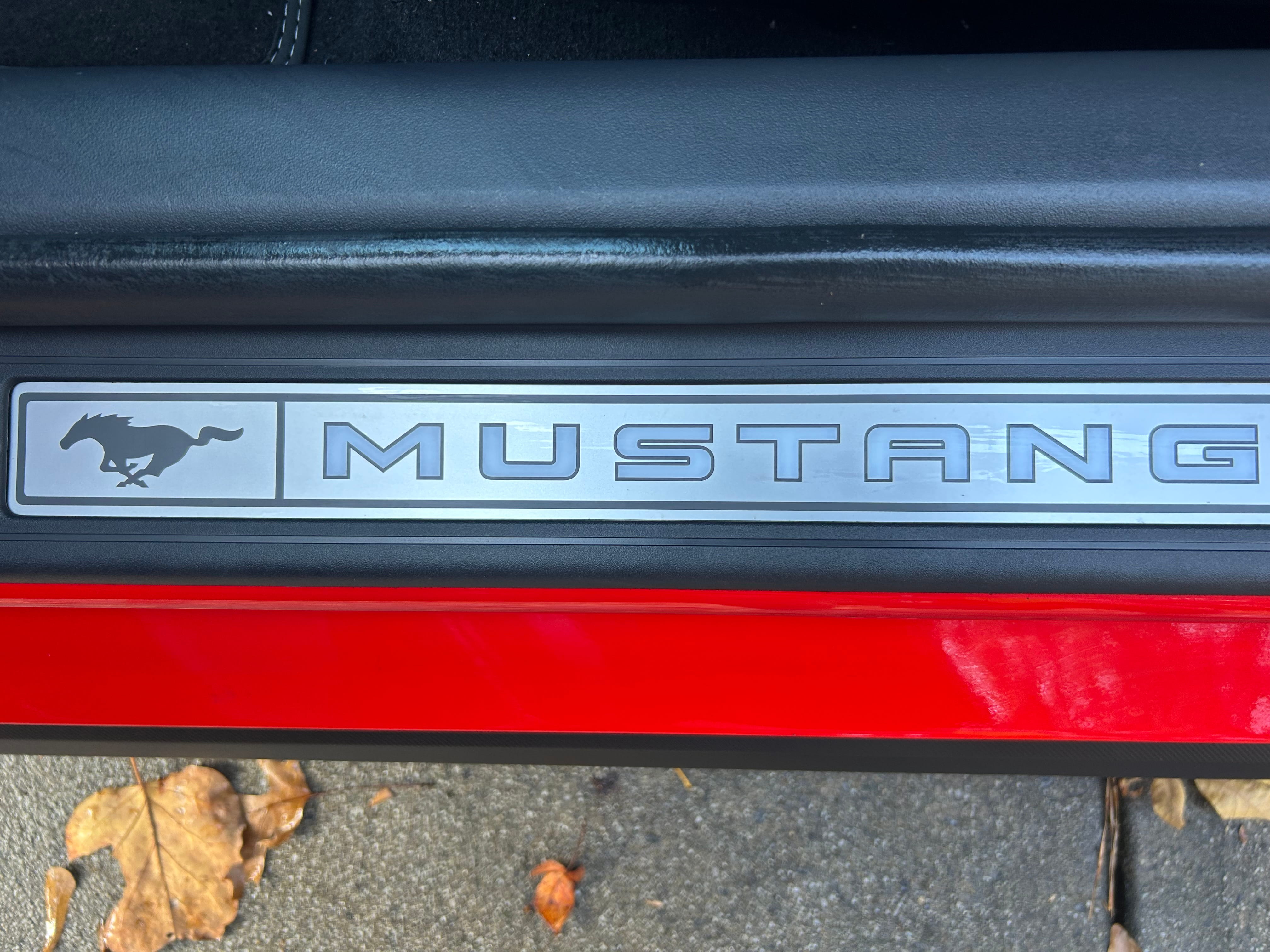 Mustang Door Sill - after