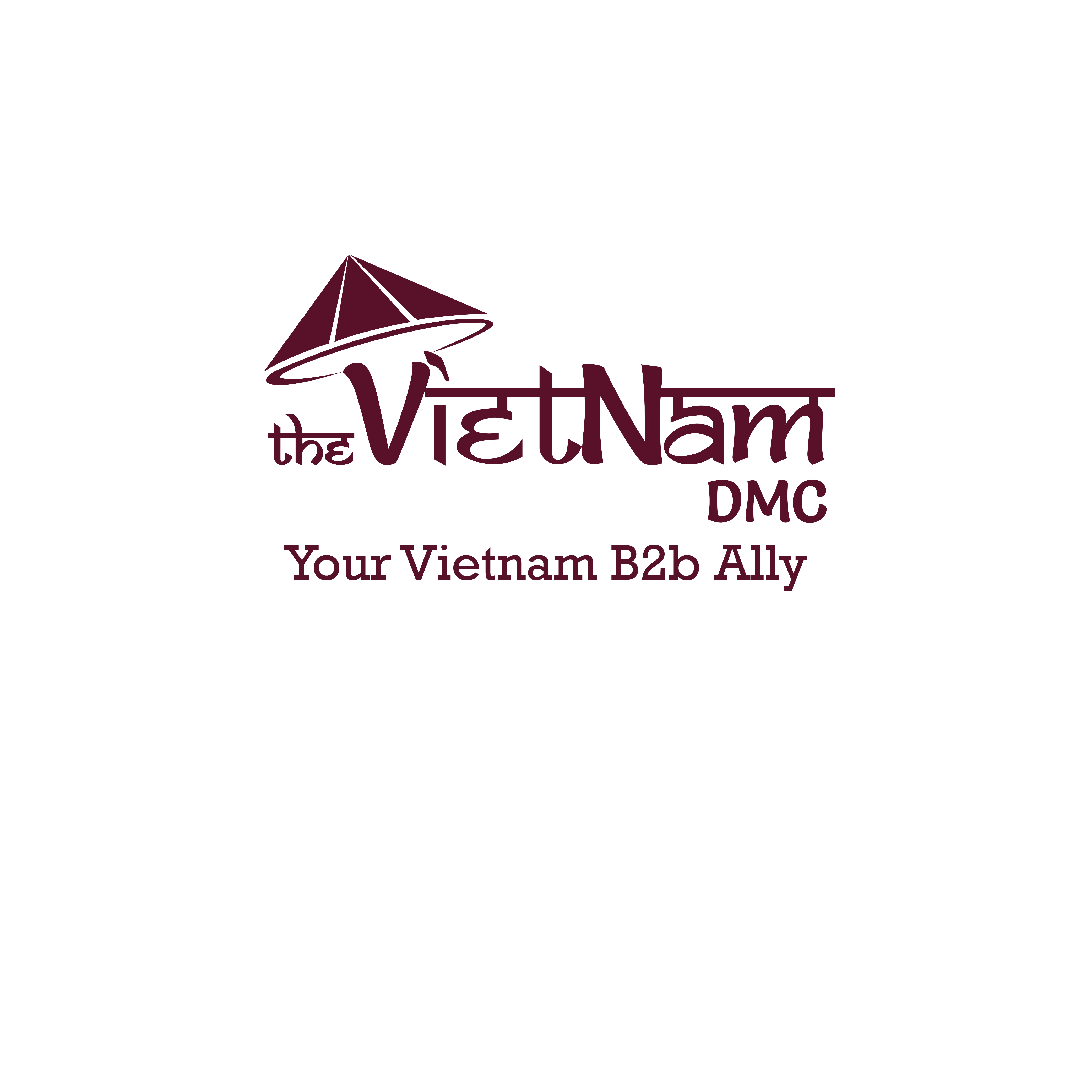 TheVietnamDMC Logo