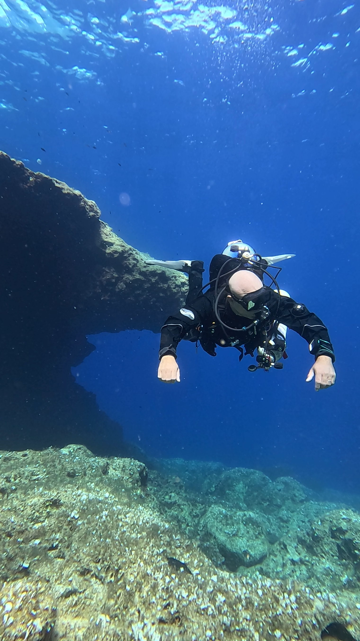 Robin underwater