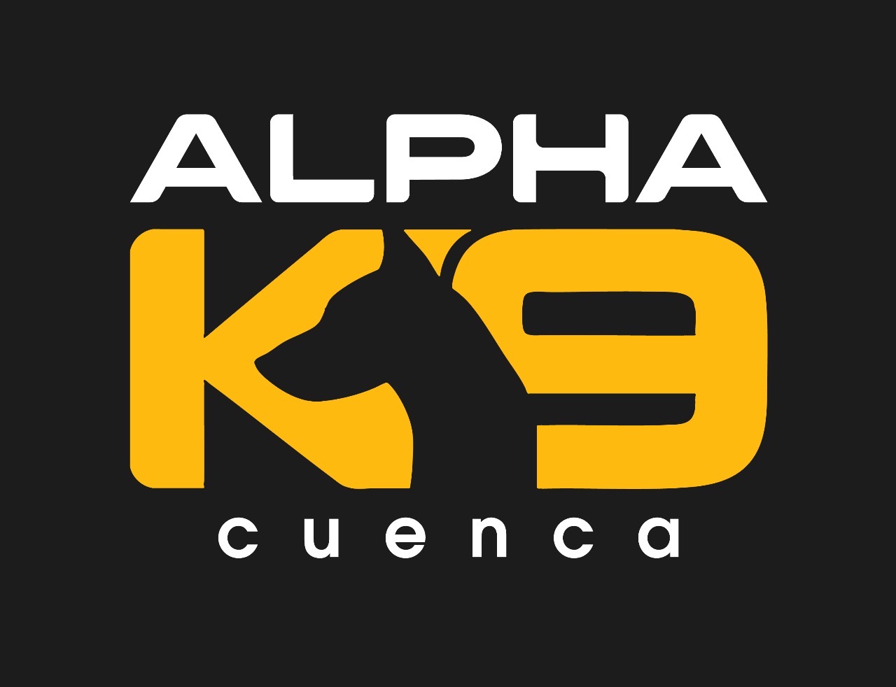 Logo Cuenca