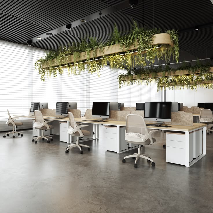 Office Fit-Out