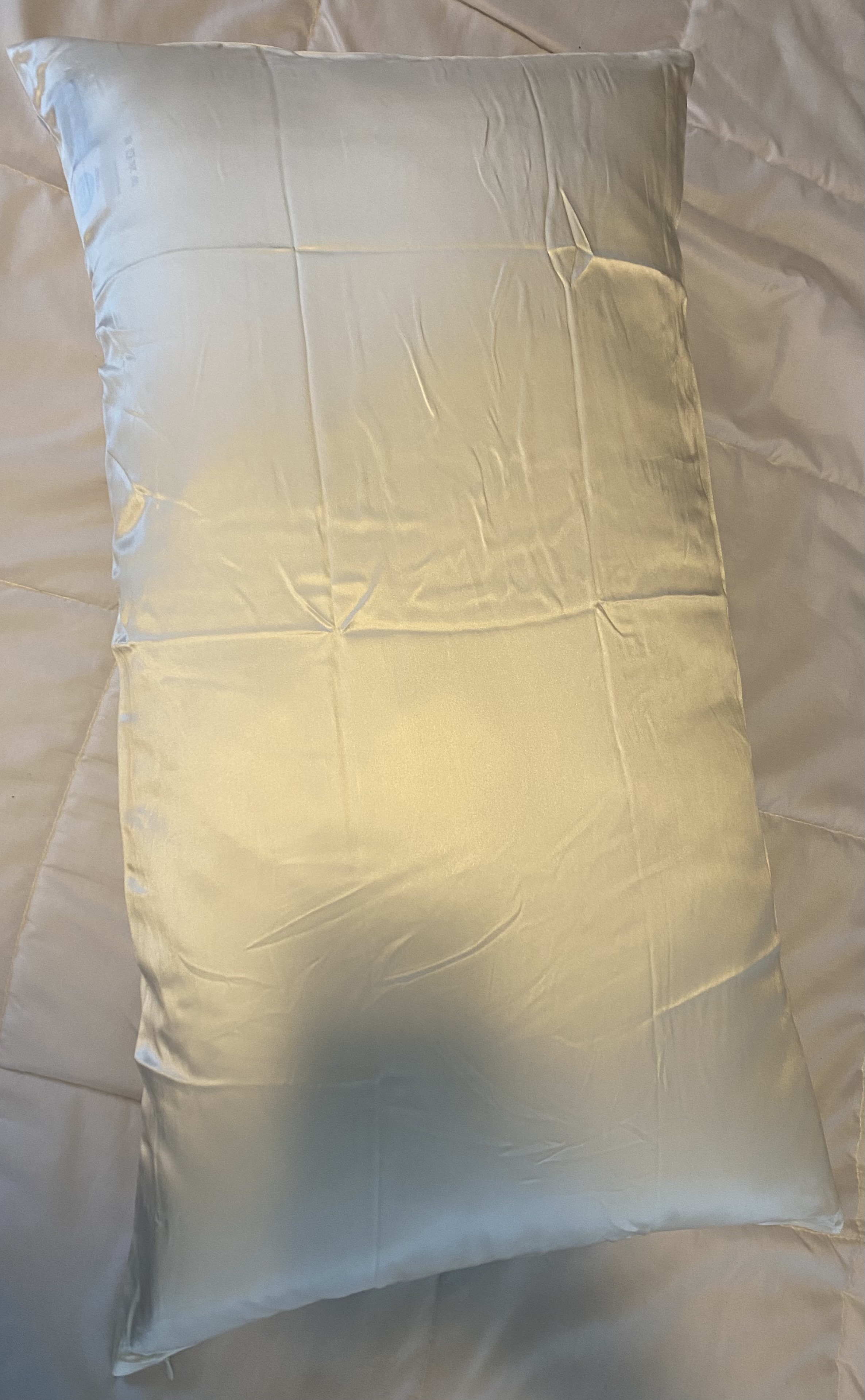The Perfect Pillow Creation — luxury silk pillow with grounding magnetic core