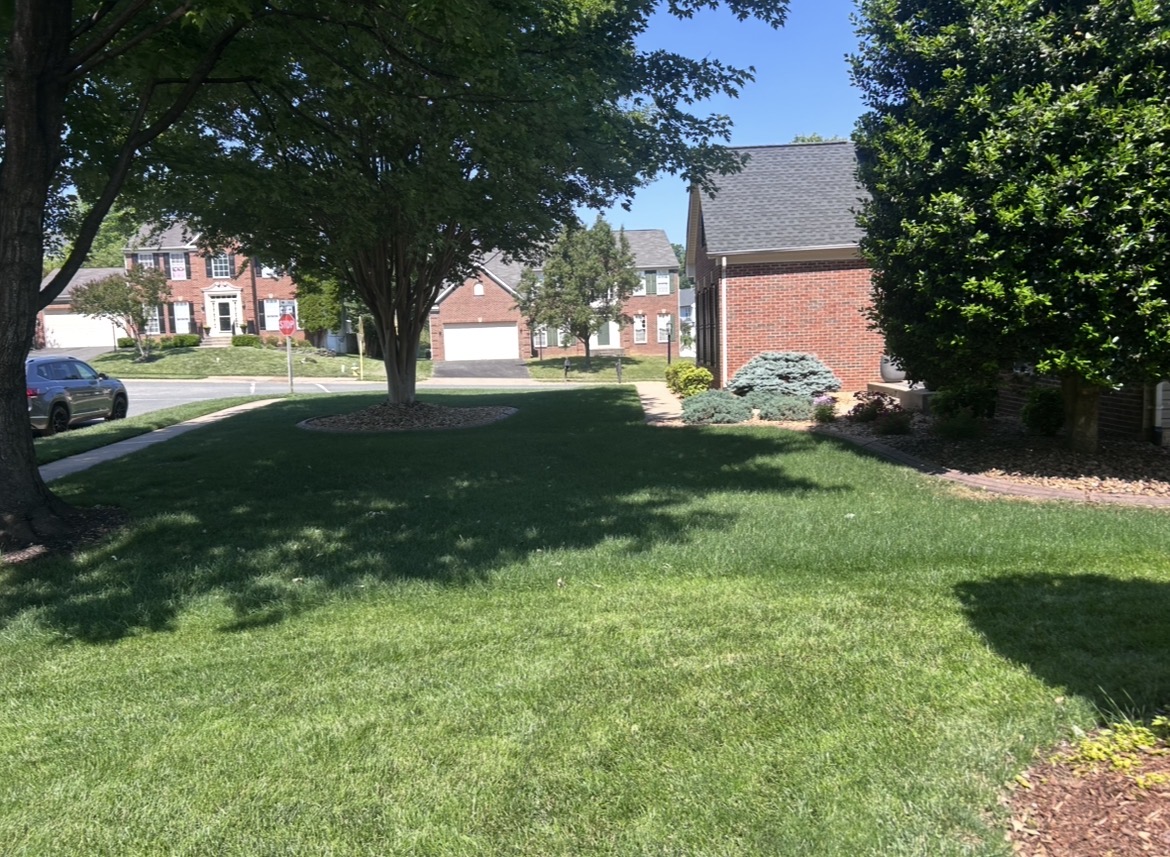 Lawn Care